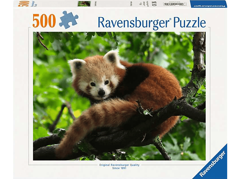 Ravensburger Süßer roter Panda, 500 Teile (Ab 12 Jahren) Puzzle