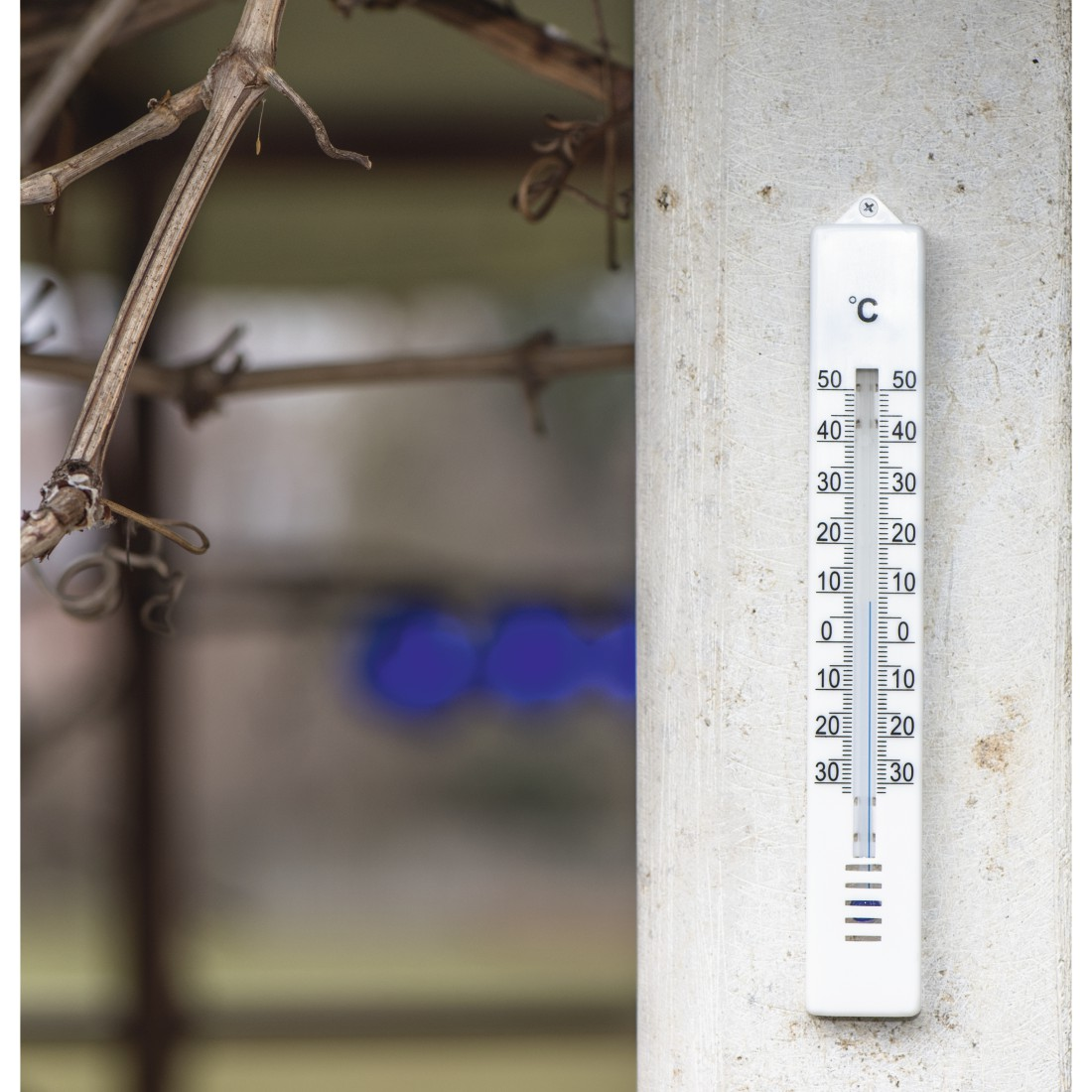 Ein weißes Thermometer ist an einer weißen Stange befestigt. Das Thermometer zeigt 10 Grad Celsius an. Braune Äste sind links.