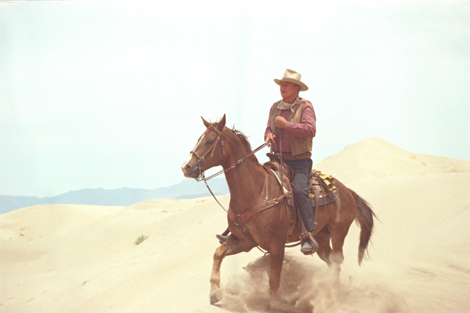 Ein Cowboy auf einem braunen Pferd reitet durch eine Wüstenlandschaft. Der Mann trägt einen Hut und eine Weste. Sanddünen sind im Hintergrund.
