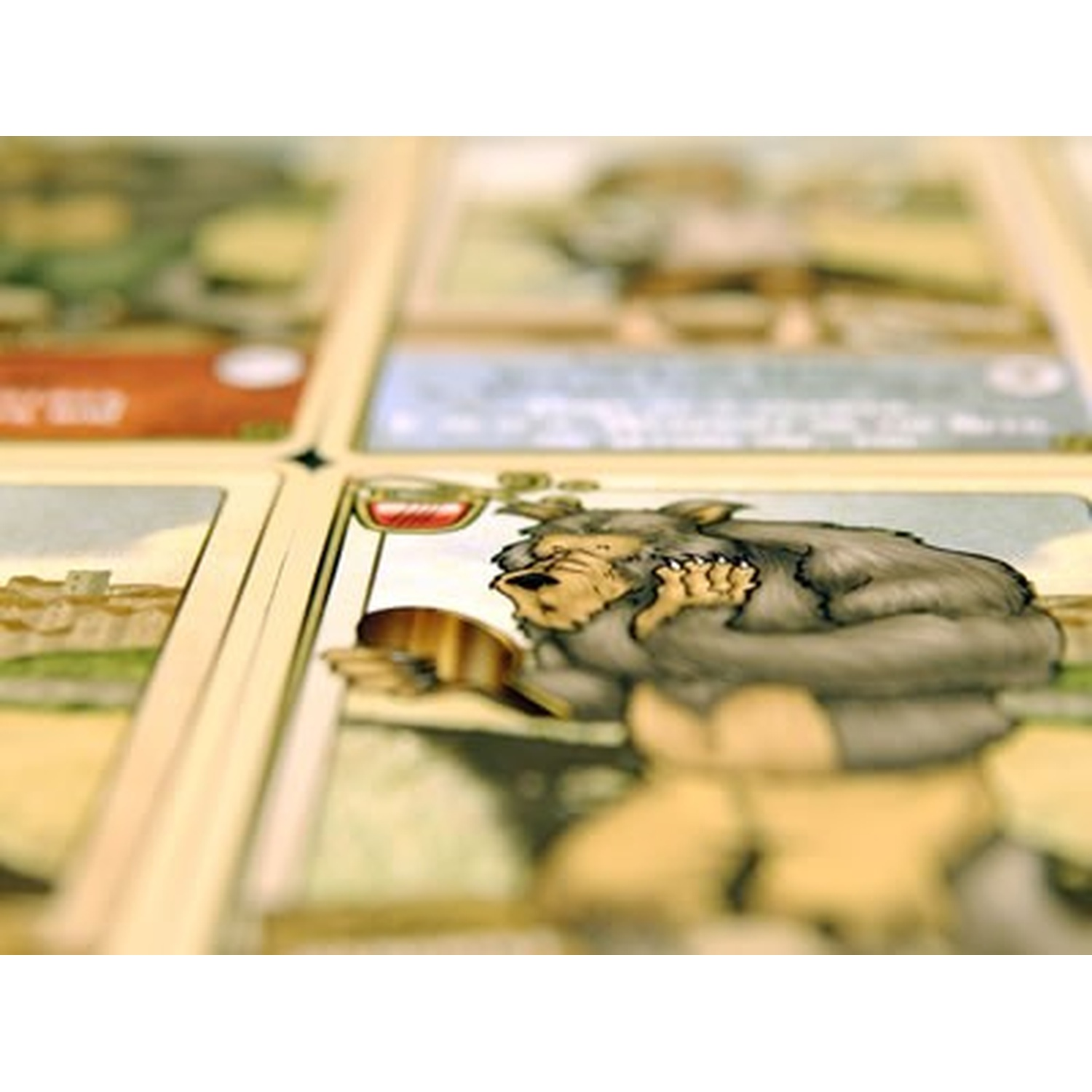 Sono visibili carte con illustrazioni, una raffigura un lupo mannaro. Altre carte mostrano paesaggi. Le carte sono in una cornice di legno.