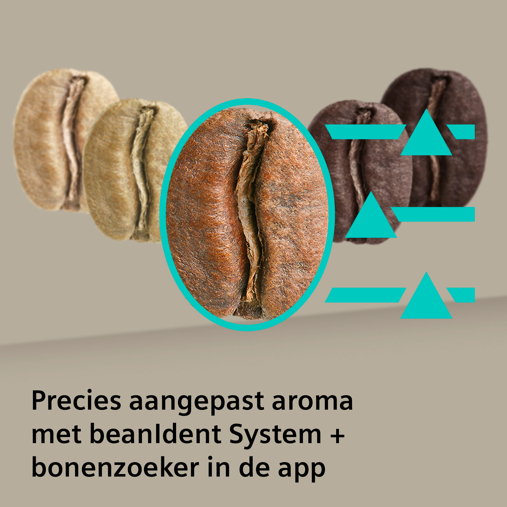 Image features coffee beans in various stages of roasting, with turquoise design elements and text in Dutch.