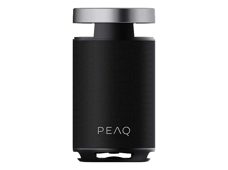 PEAQ PPS 170 Partyspeaker, Schwarz/Silber