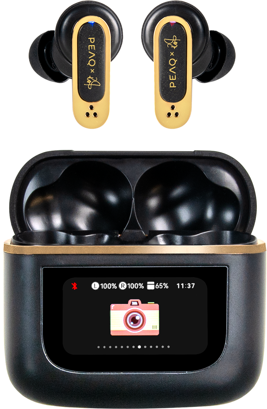 Kopfhörer und Ladecase. Kopfhörer sind schwarz und gold, Ladecase hat einen Bildschirm mit Batterie- und Kamera-Symbol.