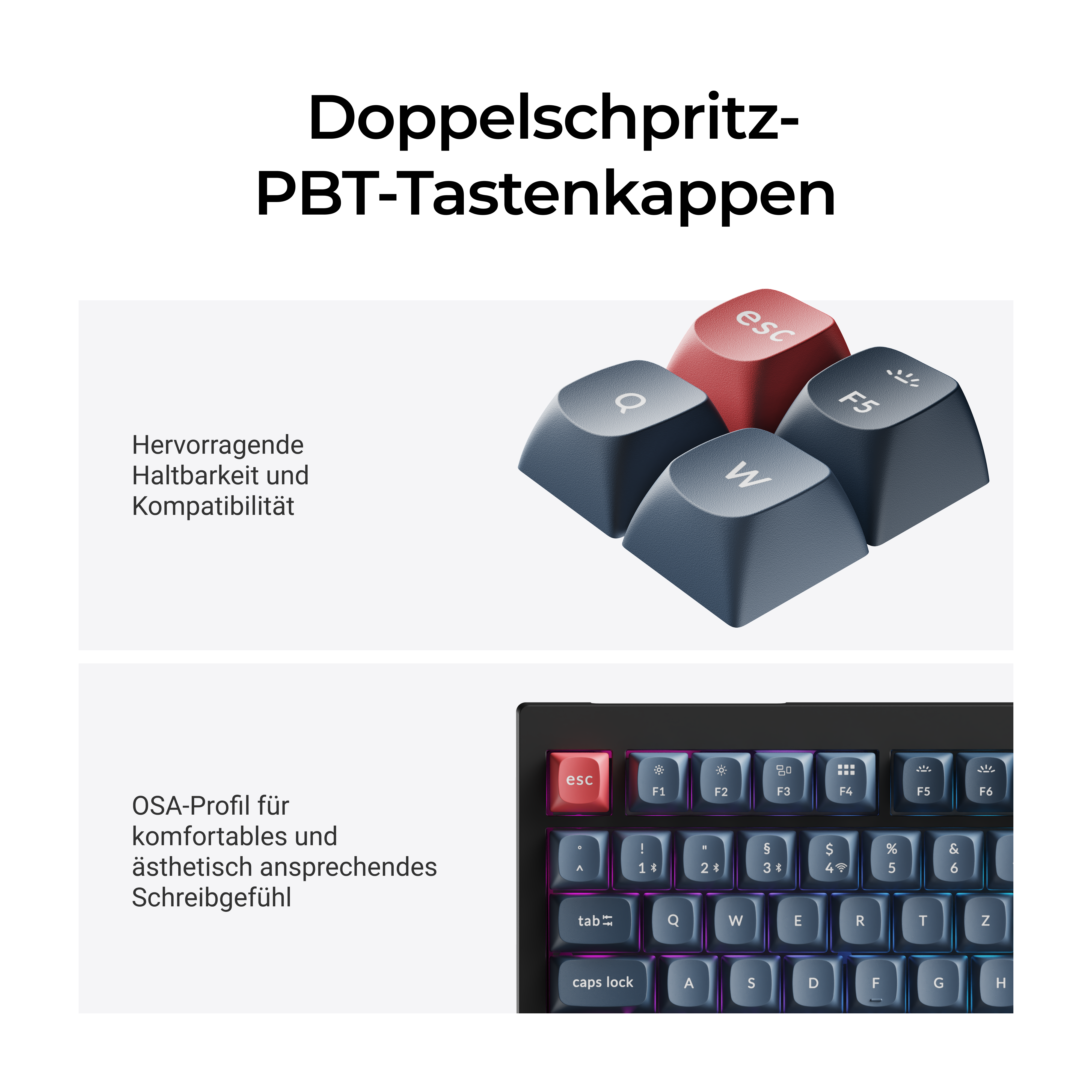 Das Bild zeigt Tastenkappen. Eine rote ESC-Taste und andere dunkelblaue Tasten mit weißen Buchstaben. Text auf Deutsch.