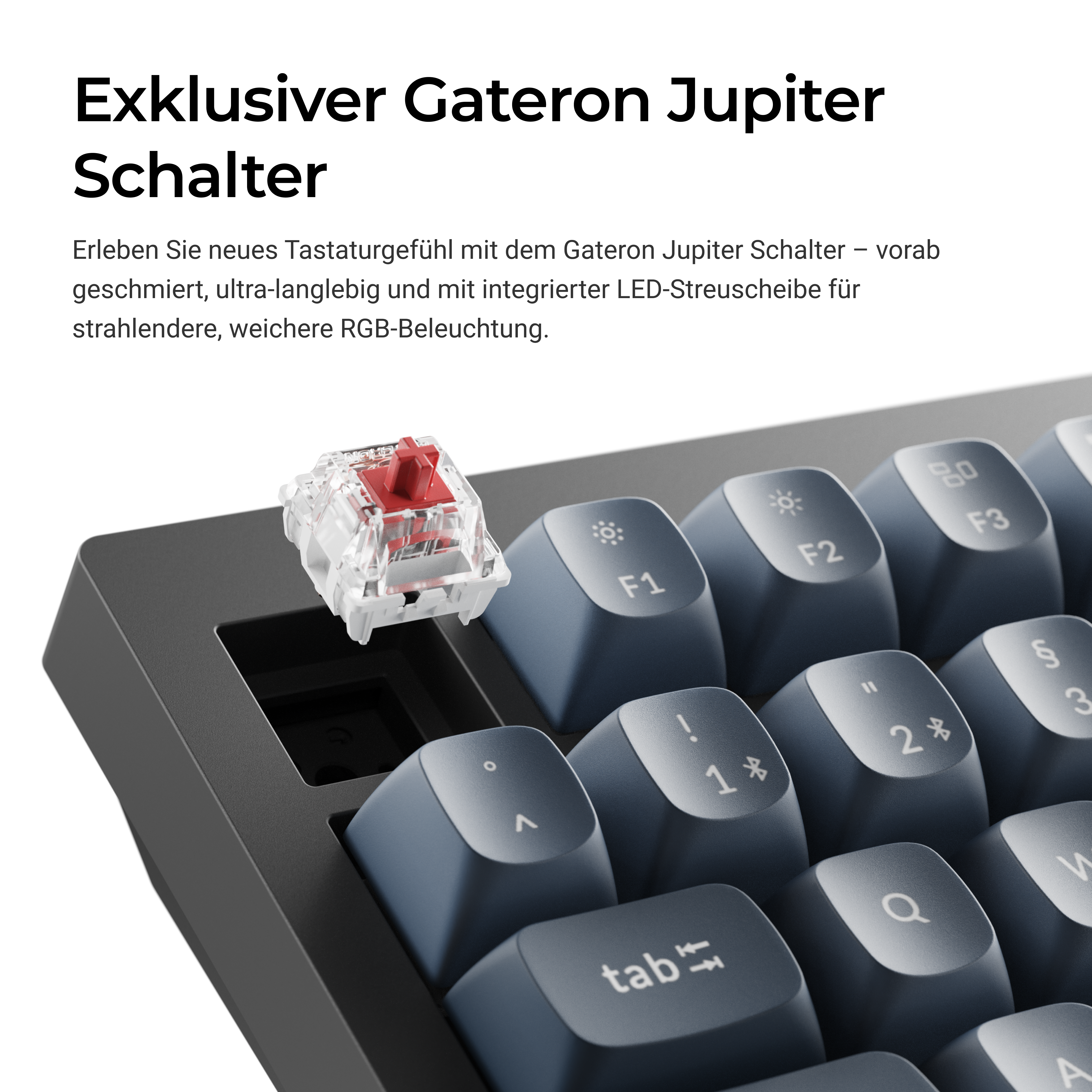 Nahaufnahme einer Tastatur mit einem roten Schalter. Blaue Tasten mit weißen Buchstaben sind zu sehen.