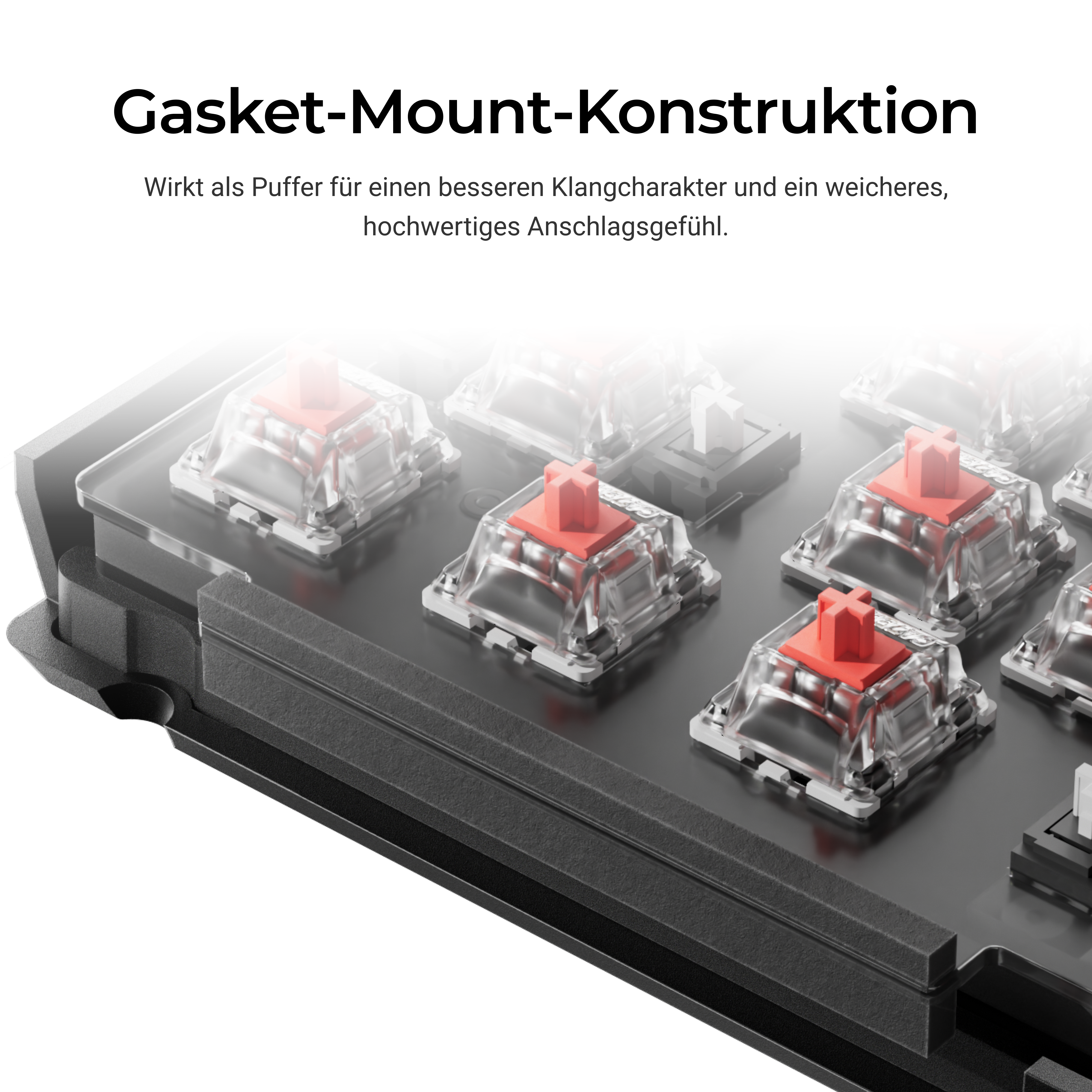 Nahaufnahme von Tastaturschaltern mit roten Schäften. Schwarzer Rahmen und Text oben: Gasket-Mount-Konstruktion.
