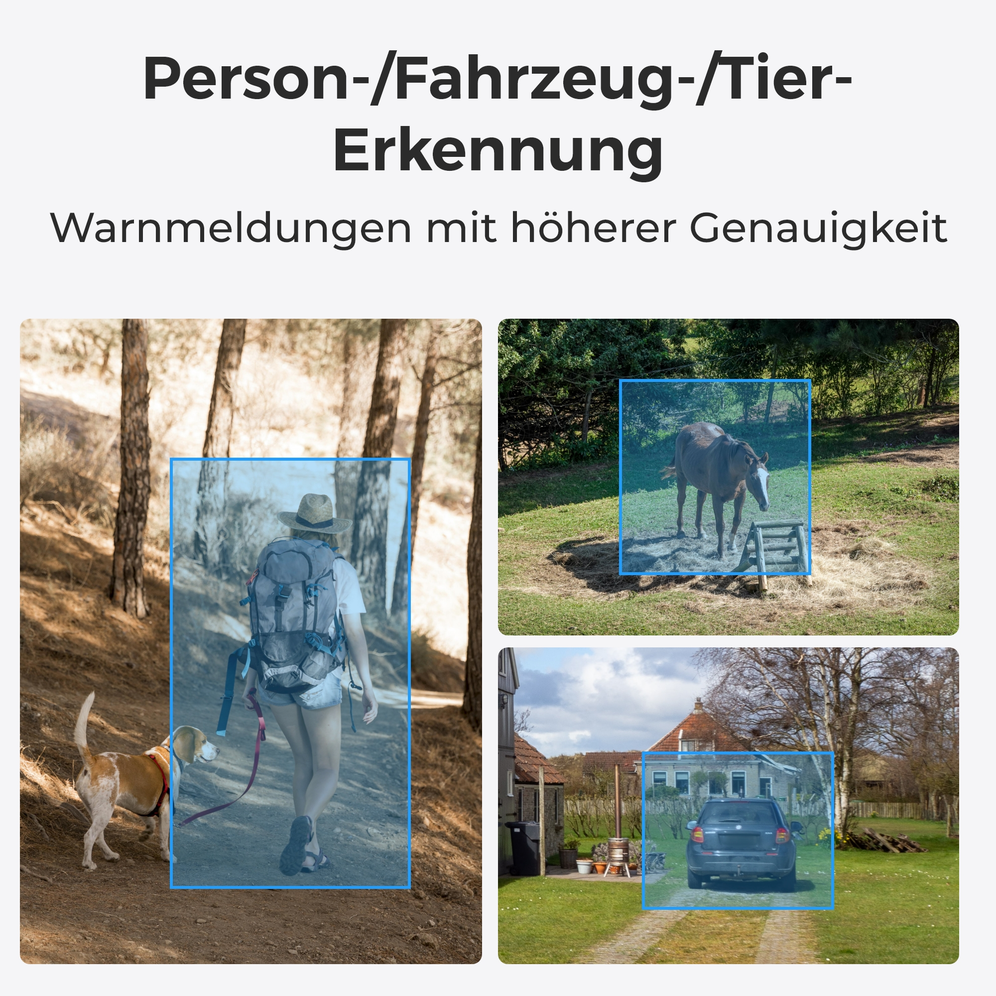 Das Bild zeigt eine Person, die mit einem Hund wandert, ein Pferd auf einer Wiese und ein Auto in der Nähe eines Hauses.