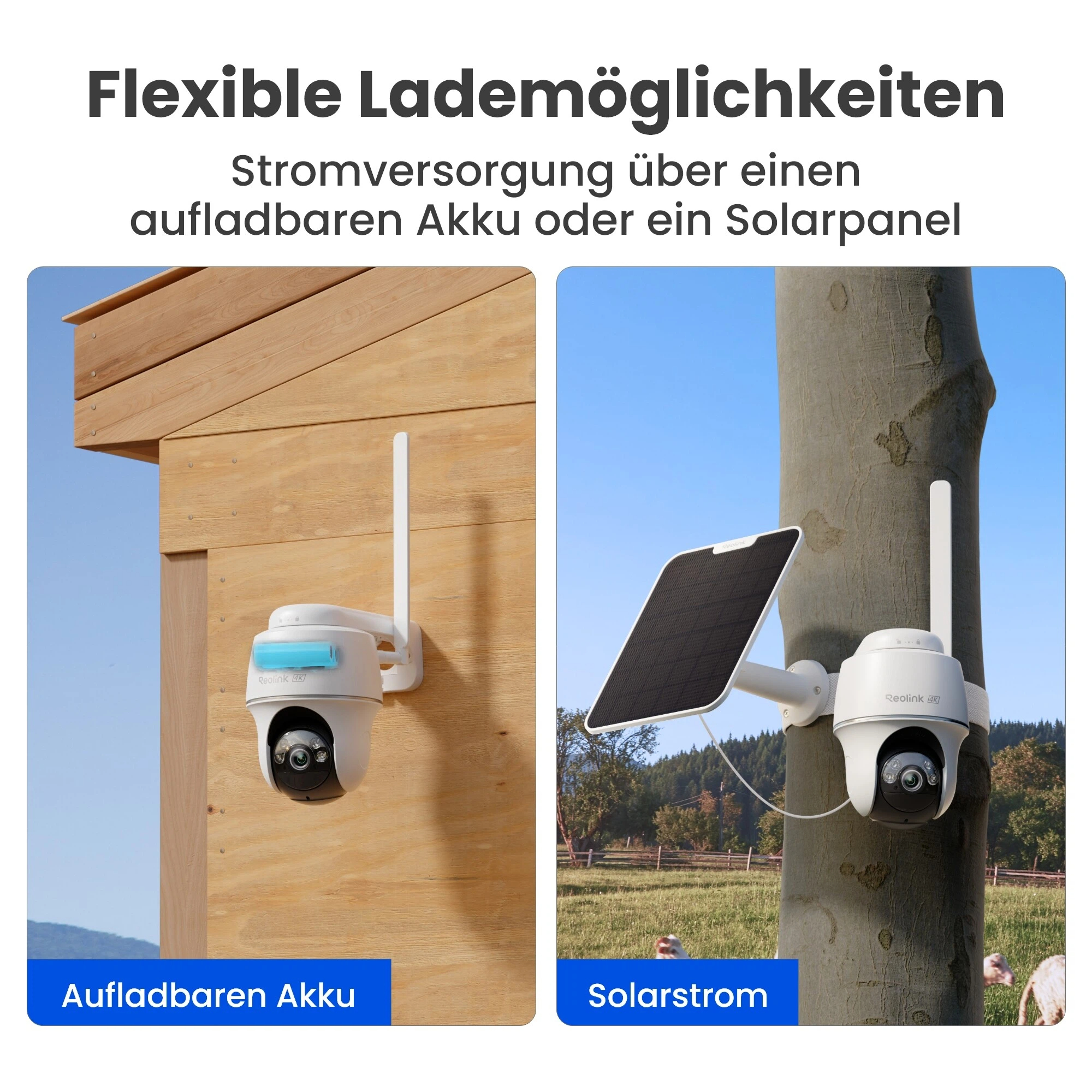 Das Bild zeigt zwei Überwachungskameras. Eine wird mit Batterie betrieben, an Holz montiert. Die andere ist solarbetrieben, an einem Baum befestigt.