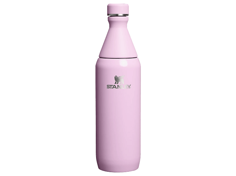 Stanley The All Day Slim 0.60L / 20Oz Soğuk Su Şişesi Termosu Cherry