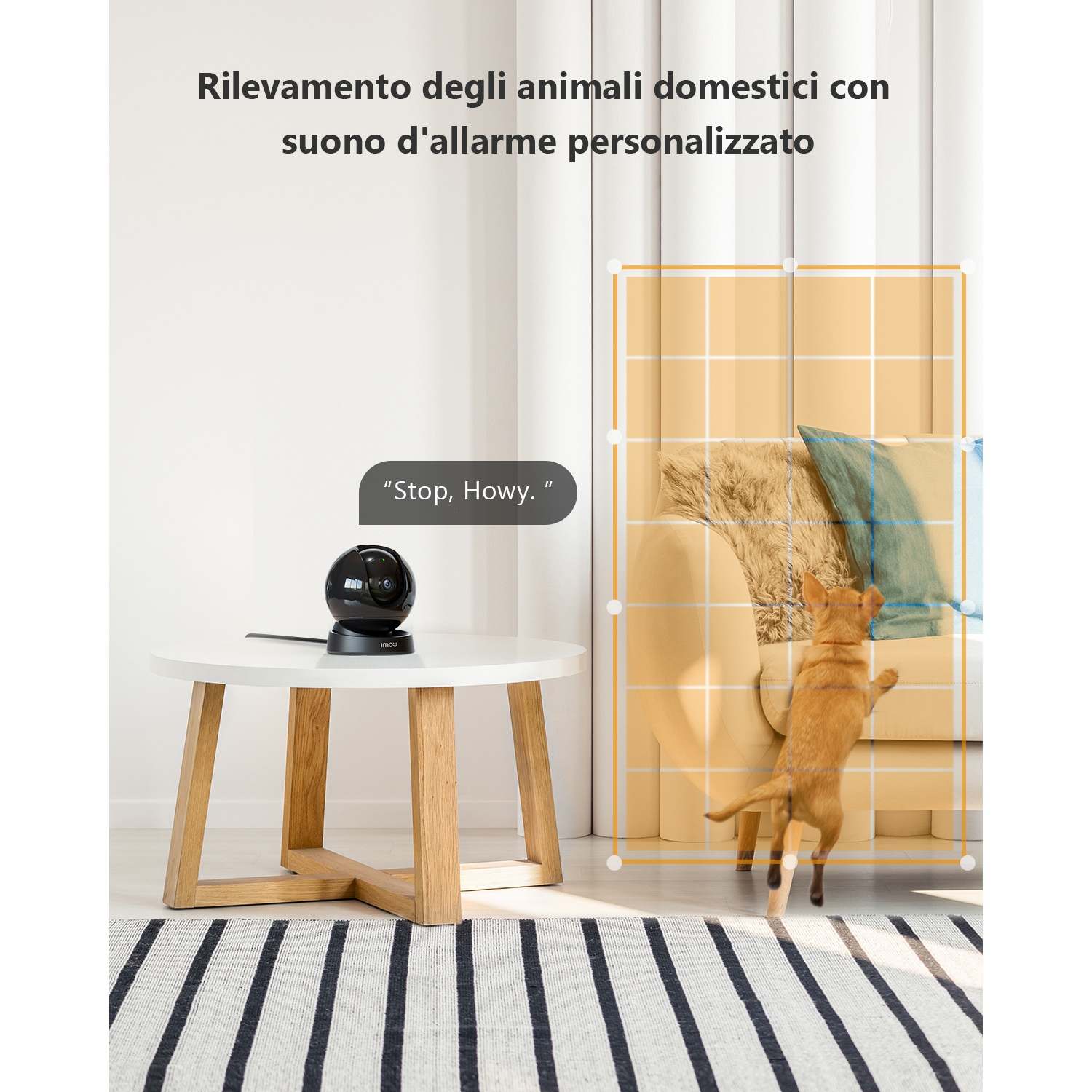 Una telecamera di sicurezza nera su un tavolo bianco. Un cane salta vicino a un divano. Testo in italiano. Tappeto a strisce.