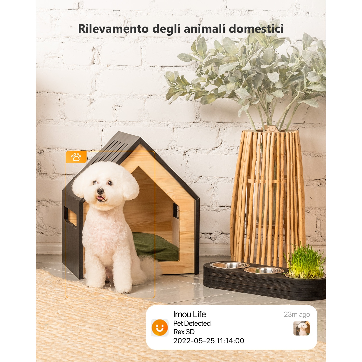 Un cane bianco è seduto in una cuccia. Una notifica dice "Pet Detected". Una pianta e una ciotola sono a destra.