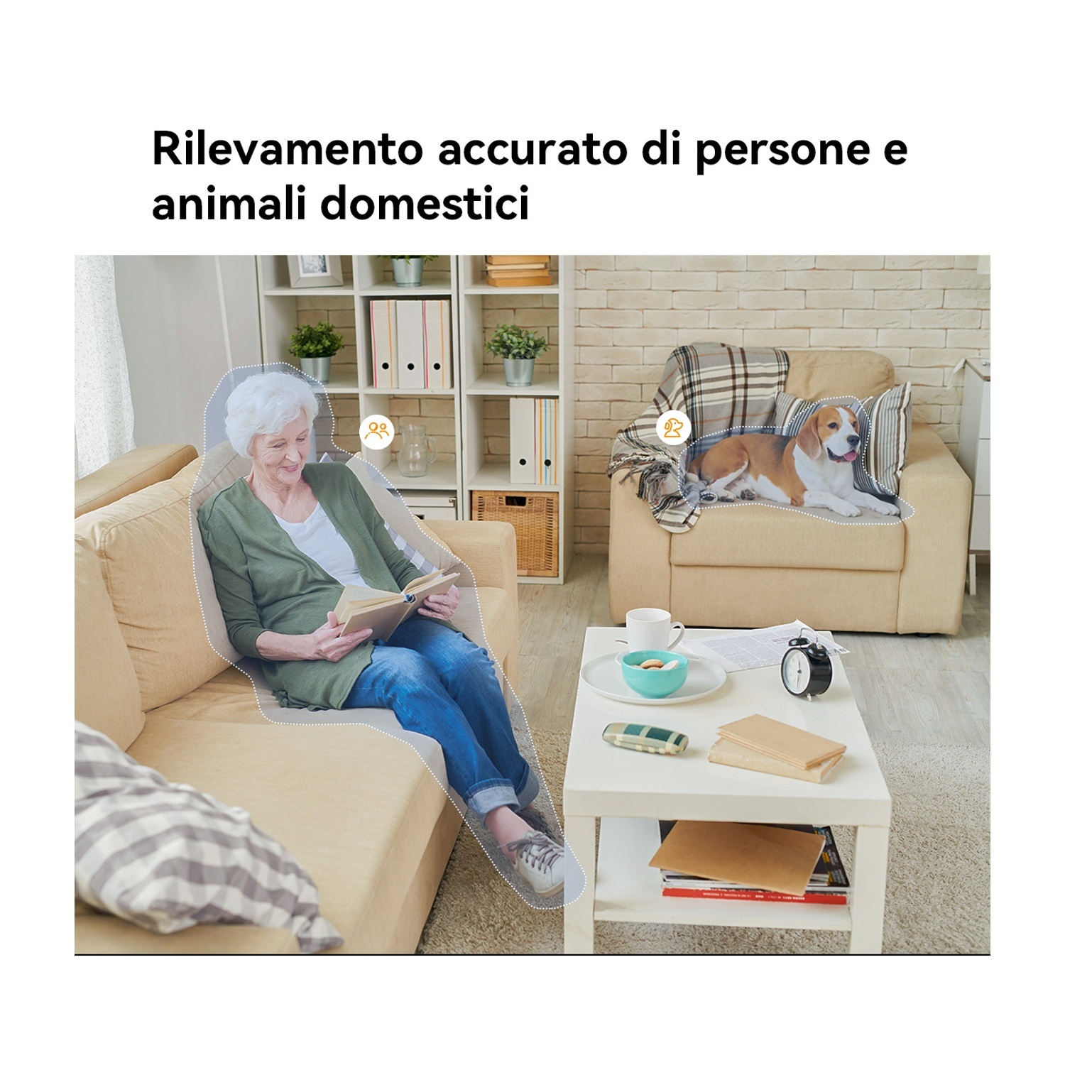 Una donna anziana legge un libro su un divano, un cane riposa su una poltrona e un tavolino con oggetti di fronte.