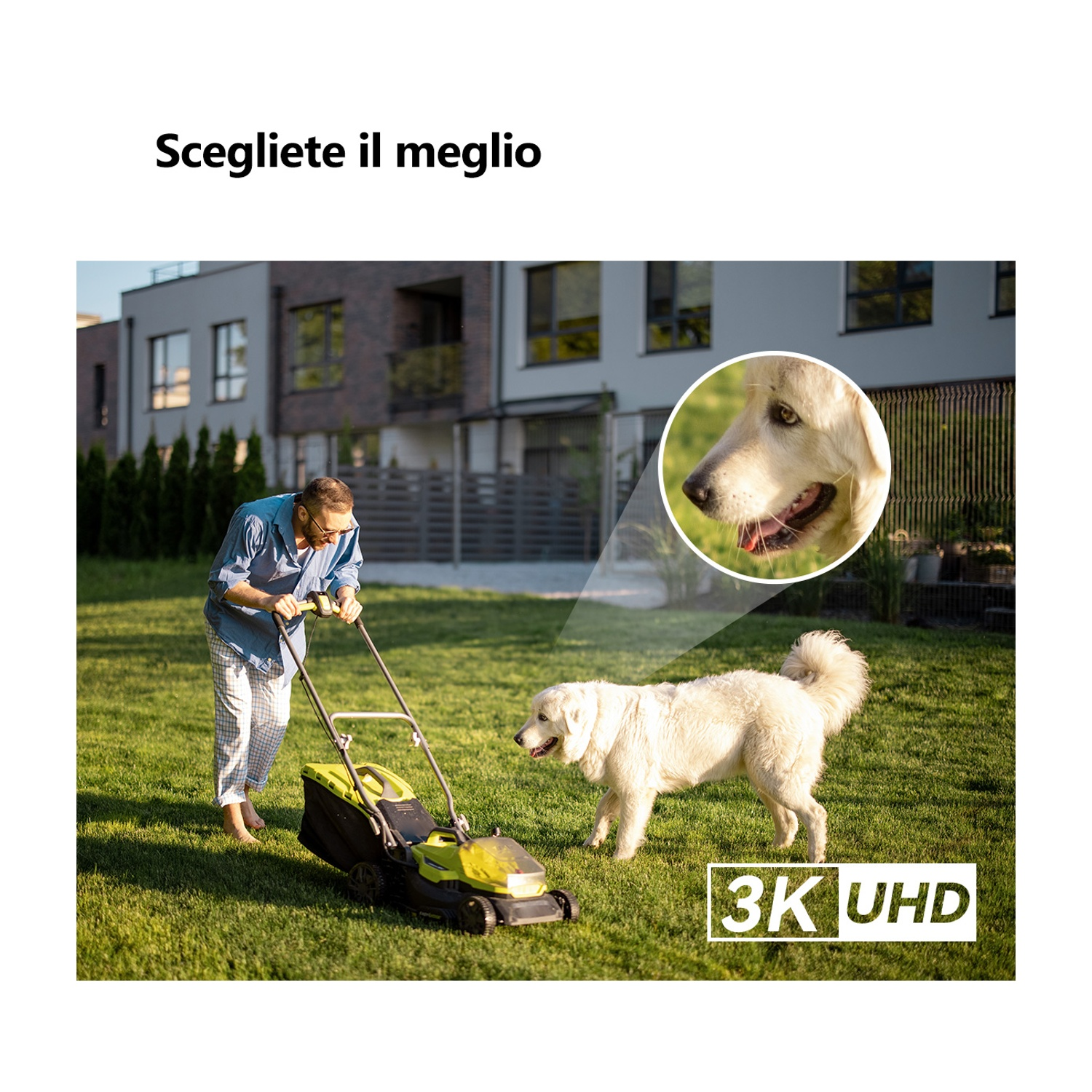Un uomo taglia l'erba con un tosaerba. Un cane bianco è nelle vicinanze. Un primo piano mostra la faccia del cane. La casa è sullo sfondo.