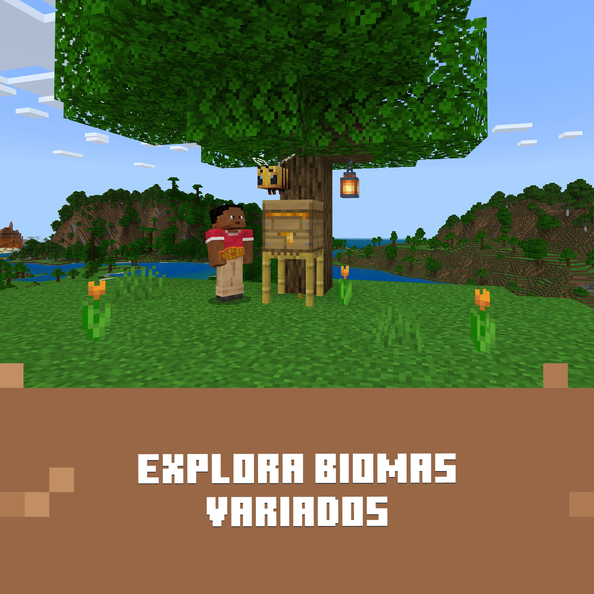 Escena de Minecraft: una persona junto a un árbol con una colmena, una abeja y una linterna. Texto “EXPLORA BIOMAS VARIADOS”.