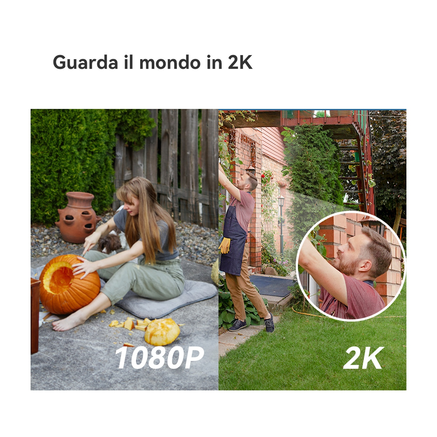 Una donna intaglia una zucca, un uomo pota delle viti. La scena è divisa, mostrando un confronto tra risoluzione 1080P e 2K.