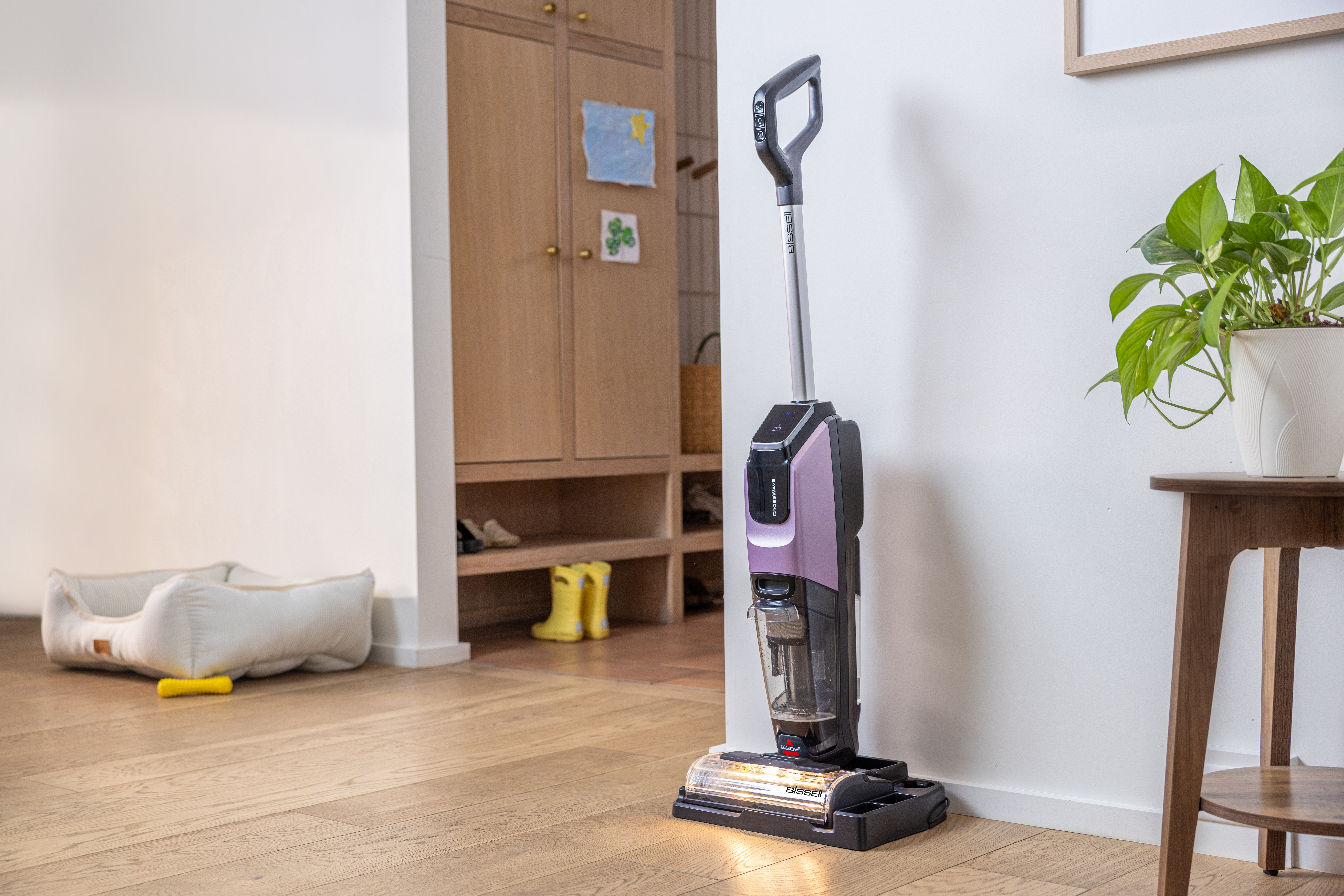 Fioletowo-czarny odkurzacz Bissell Crosswave stoi pod białą ścianą. Po prawej stronie jest roślina doniczkowa.