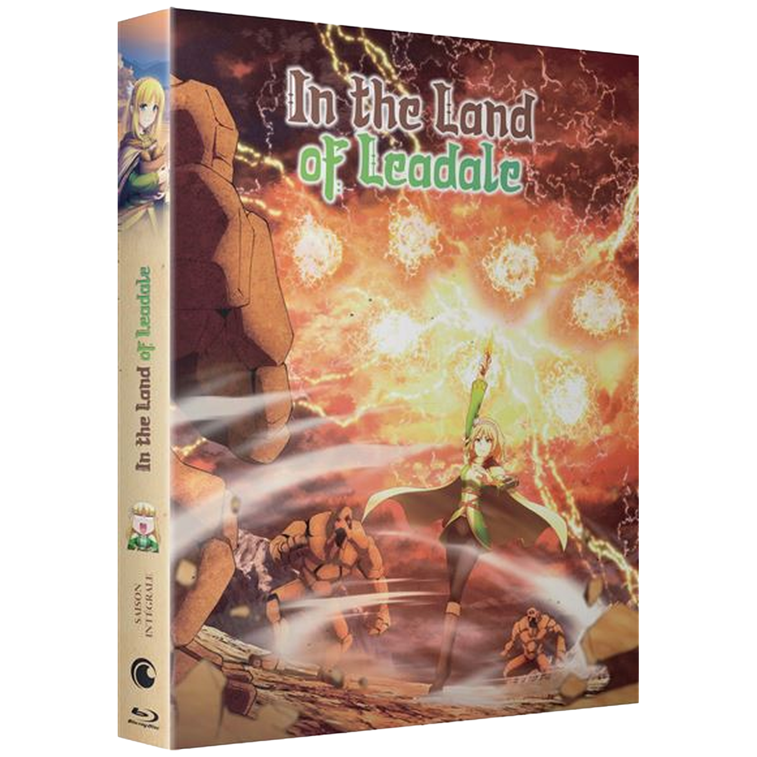 Couverture de DVD d'anime avec une femme en cape verte, entourée de feu et de monstres, intitulée 'In the Land of Leadale'.