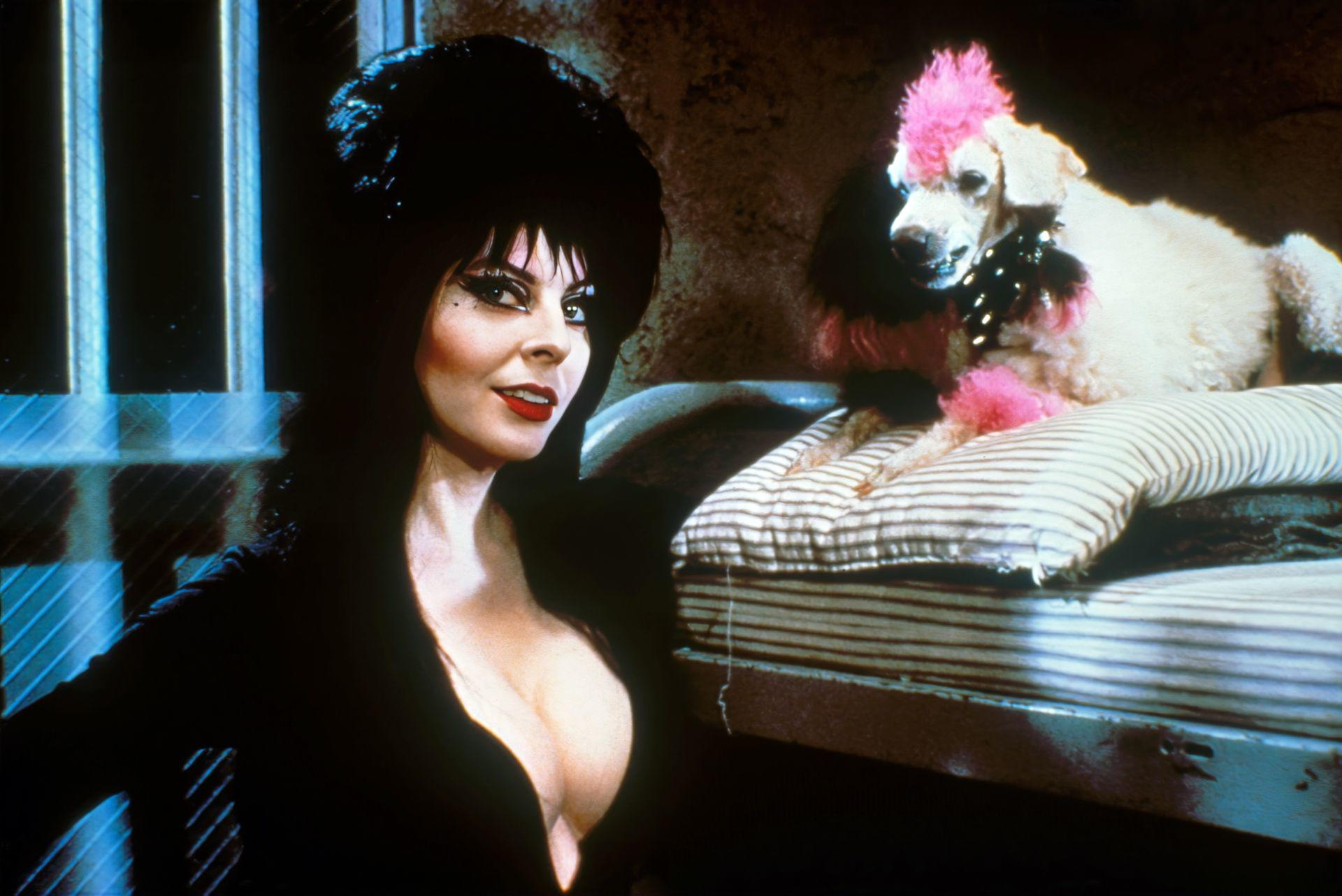 Frau in schwarzem Kleid mit Hund, pinkfarbenem Irokesen, auf dem Bett. Die Frau hat dunkles Haar und roten Lippenstift.