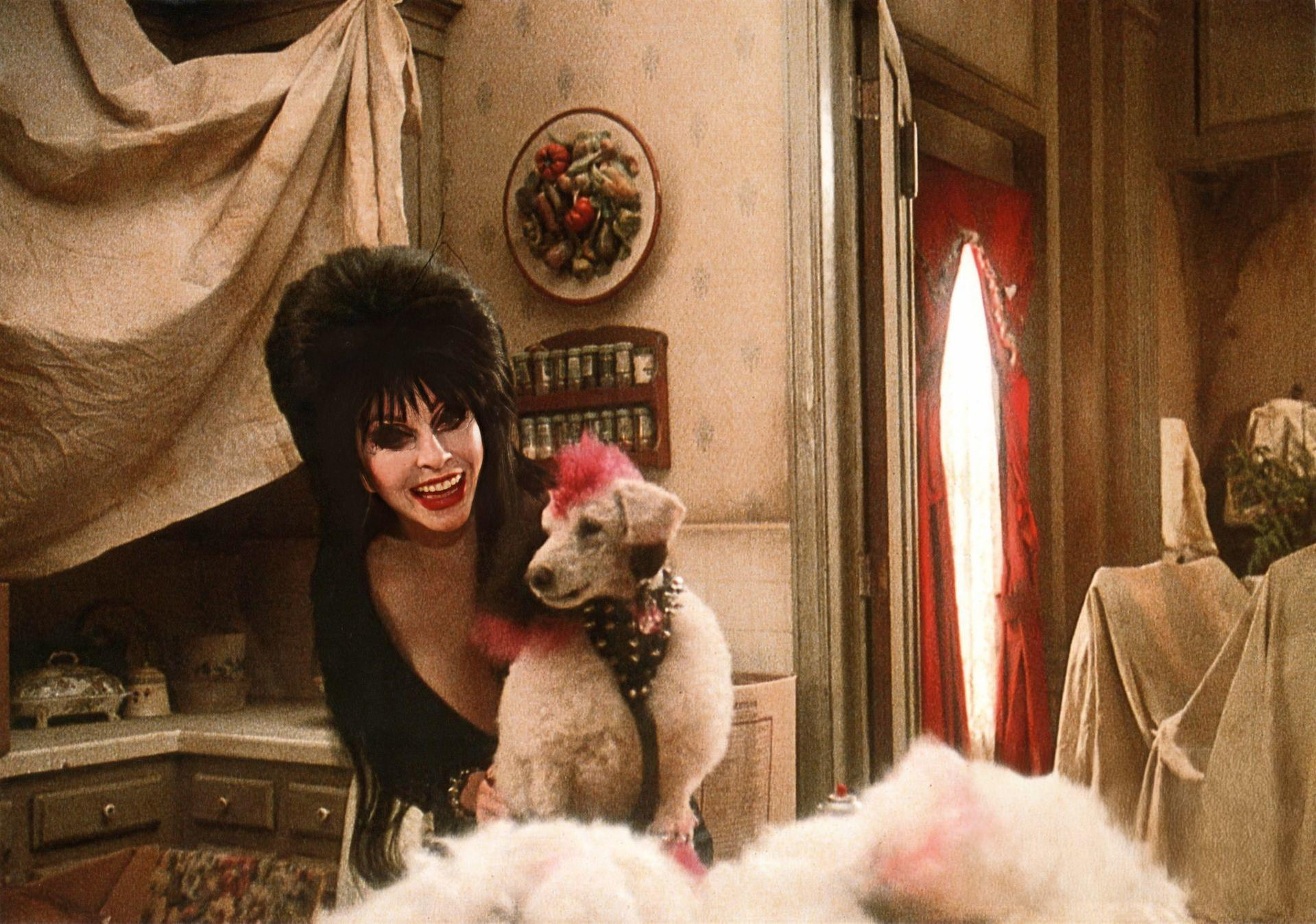 Elvira mit einem Hund. Elvira lächelt in einem schwarzen Kleid. Der Hund ist weiß mit pinkfarbenem Haar. Küchenumgebung mit roter Tür.