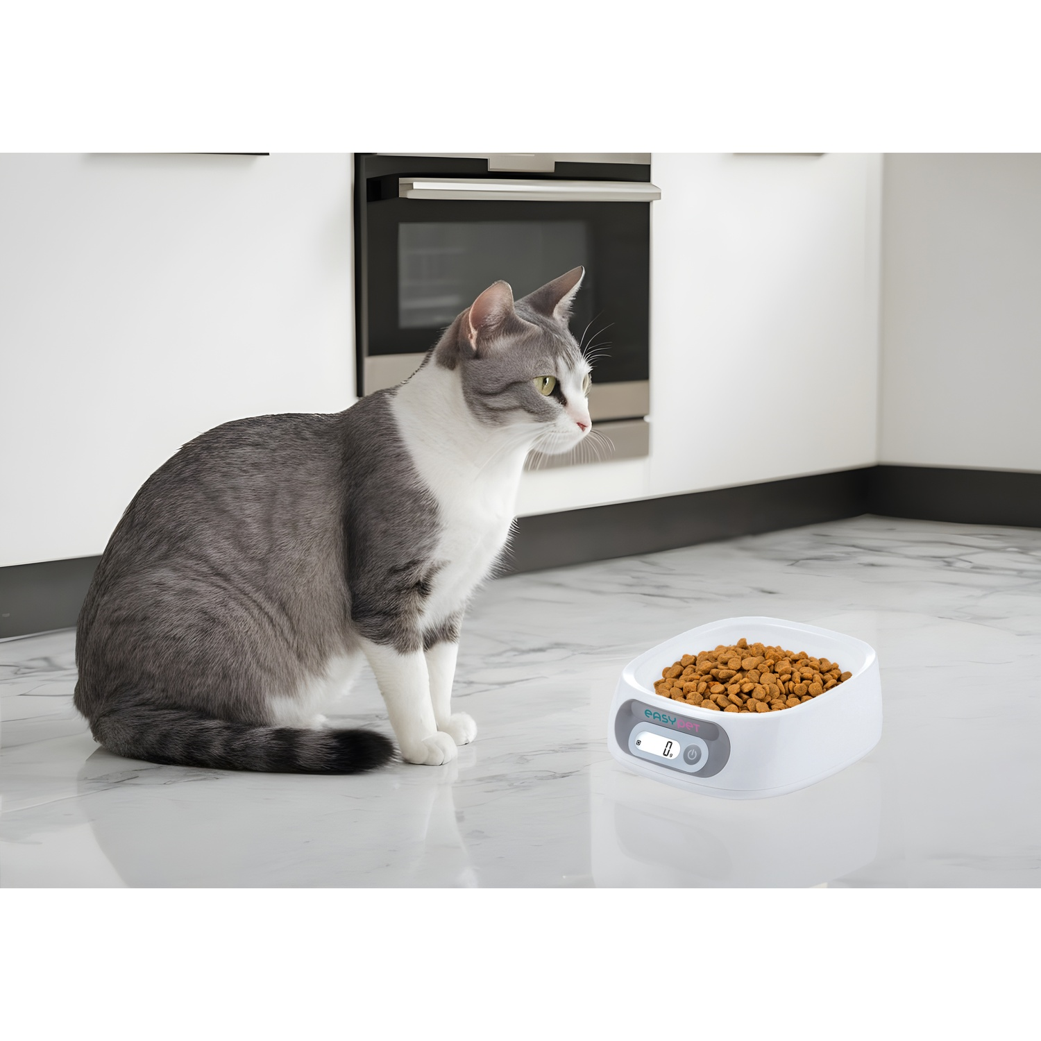 A gray and white cat sits near a white food bowl filled with brown kibble. A kitchen background is visible.