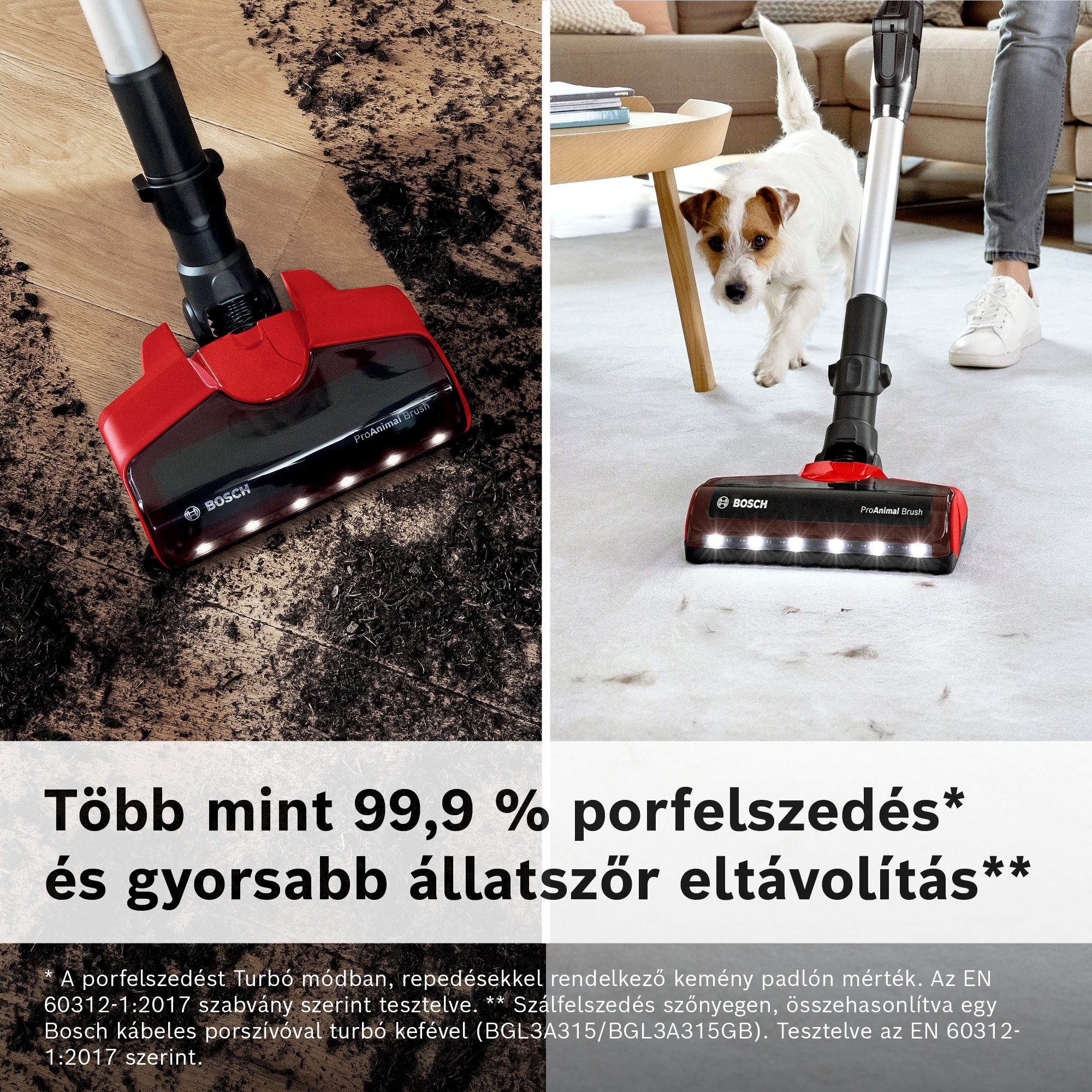 Egy piros-fekete Bosch porszívó takarít. Egy kutya a háttérben. A szöveg: Több mint 99,9% porfelszedés.