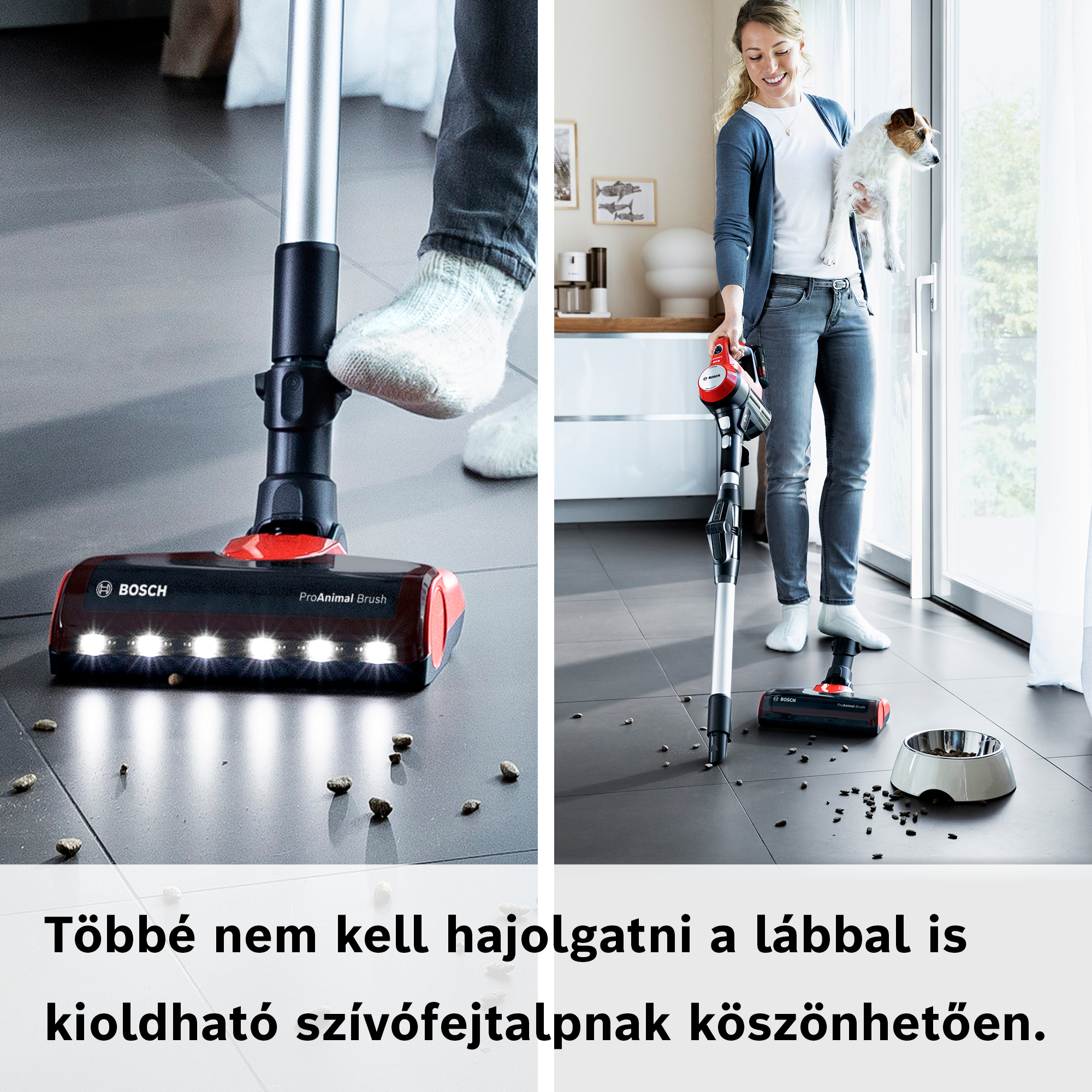 Egy nő kutyát és Bosch porszívót tart. A porszívó feje a padlón van, a láb a fejen.
