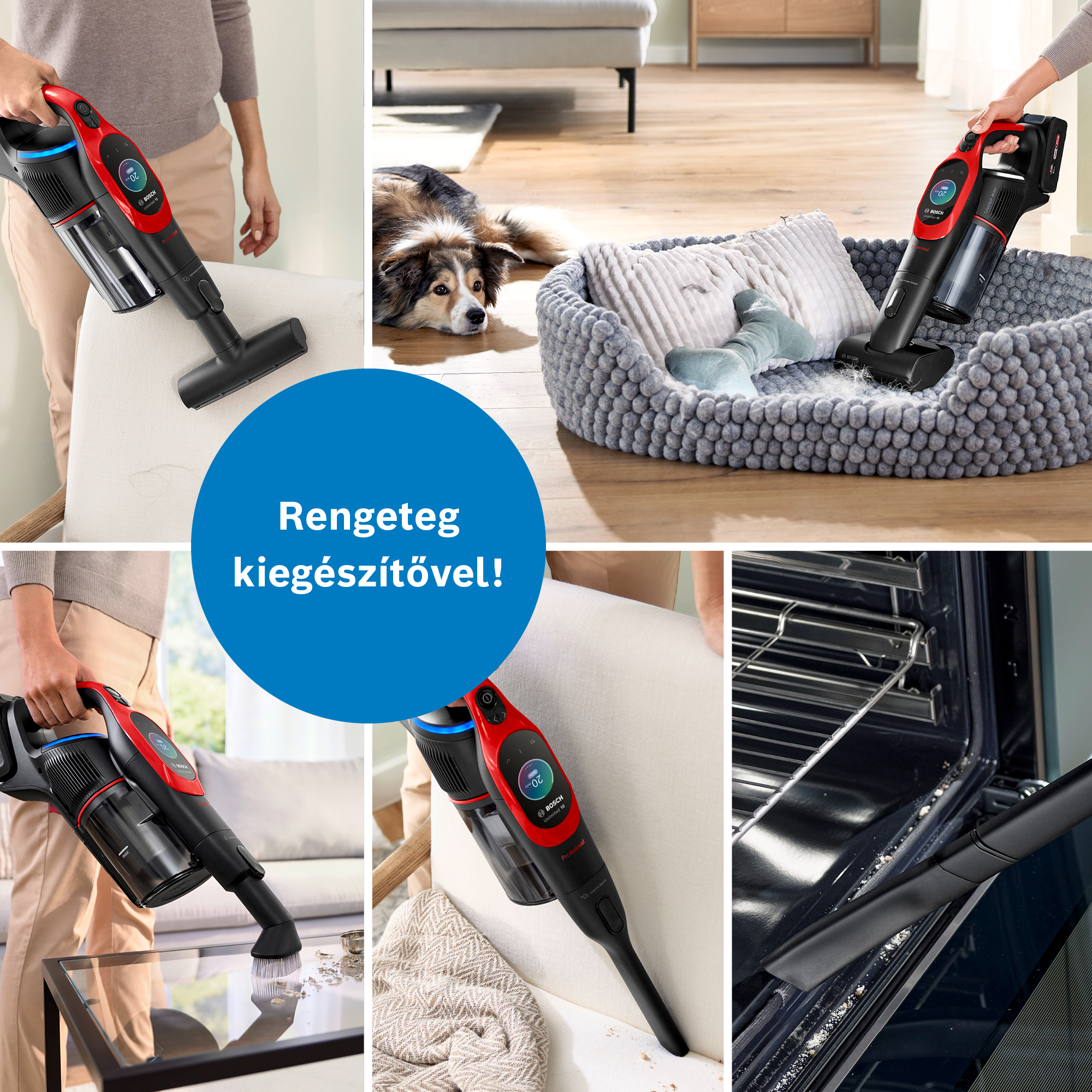 A képen egy piros-fekete porszívó látható, amint bútorokon, egy kutyán és egy sütőn használják.