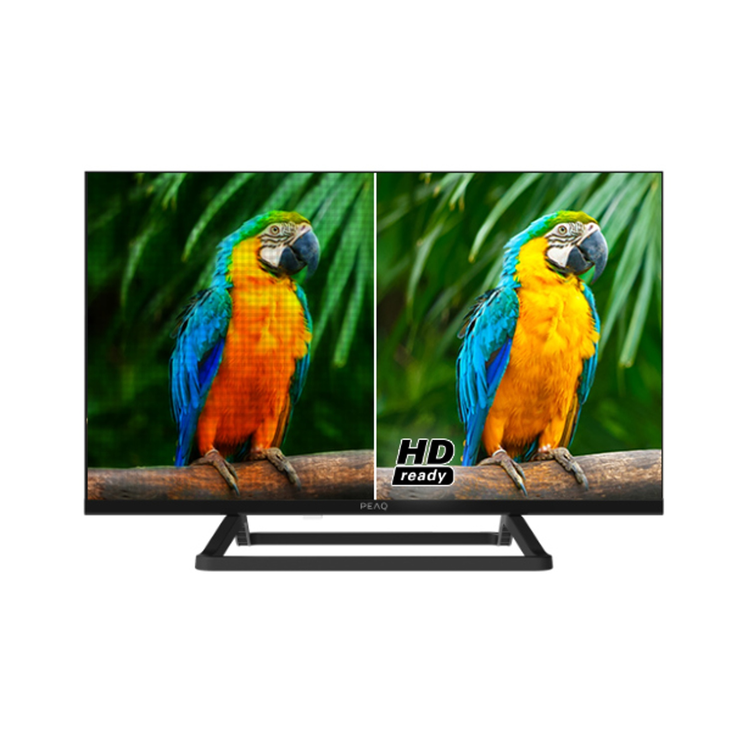 Schermo TV con immagine di pappagallo. Il pappagallo ha piume blu, gialle e arancioni, con sfondo di fogliame verde.