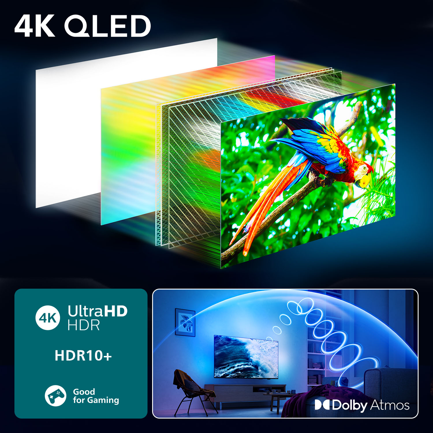 Bir dalda renkli bir papağan, ekran teknolojisi katmanları ve 4K QLED, Ultra HD, HDR10+ ve Dolby Atmos gibi özellikler.