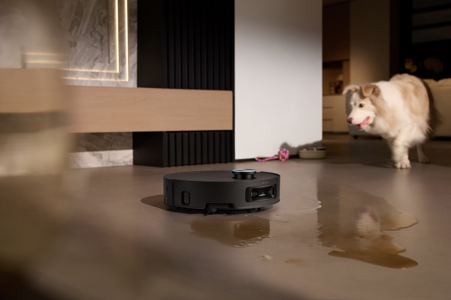 Una aspiradora robot negra está en un suelo gris con un charco. Un perro con pelaje marrón y blanco camina al fondo.