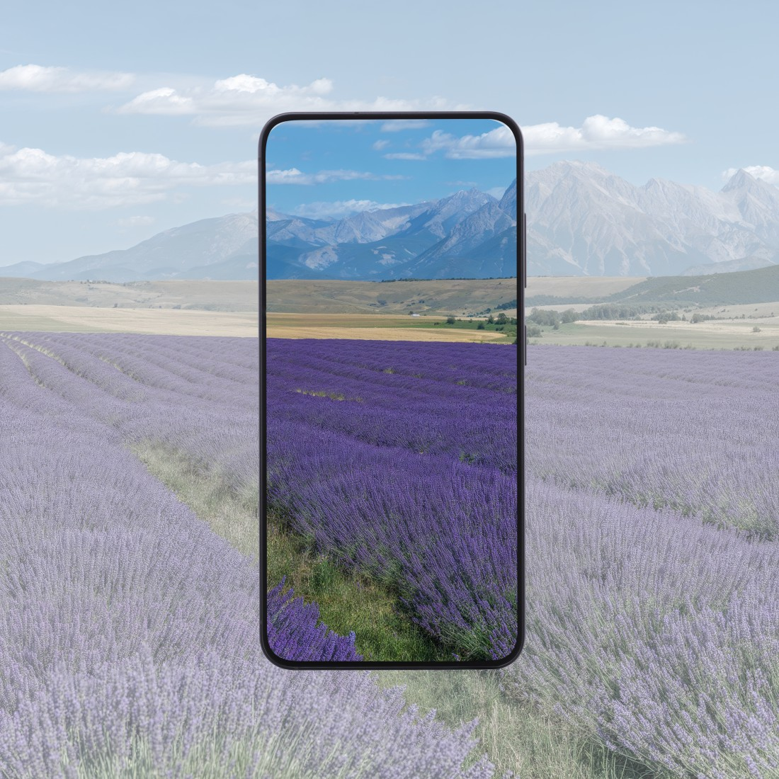 Ein Telefon zeigt ein Lavendelfeld mit Bergen im Hintergrund unter blauem Himmel mit Wolken. Das Telefon ist im Fokus.