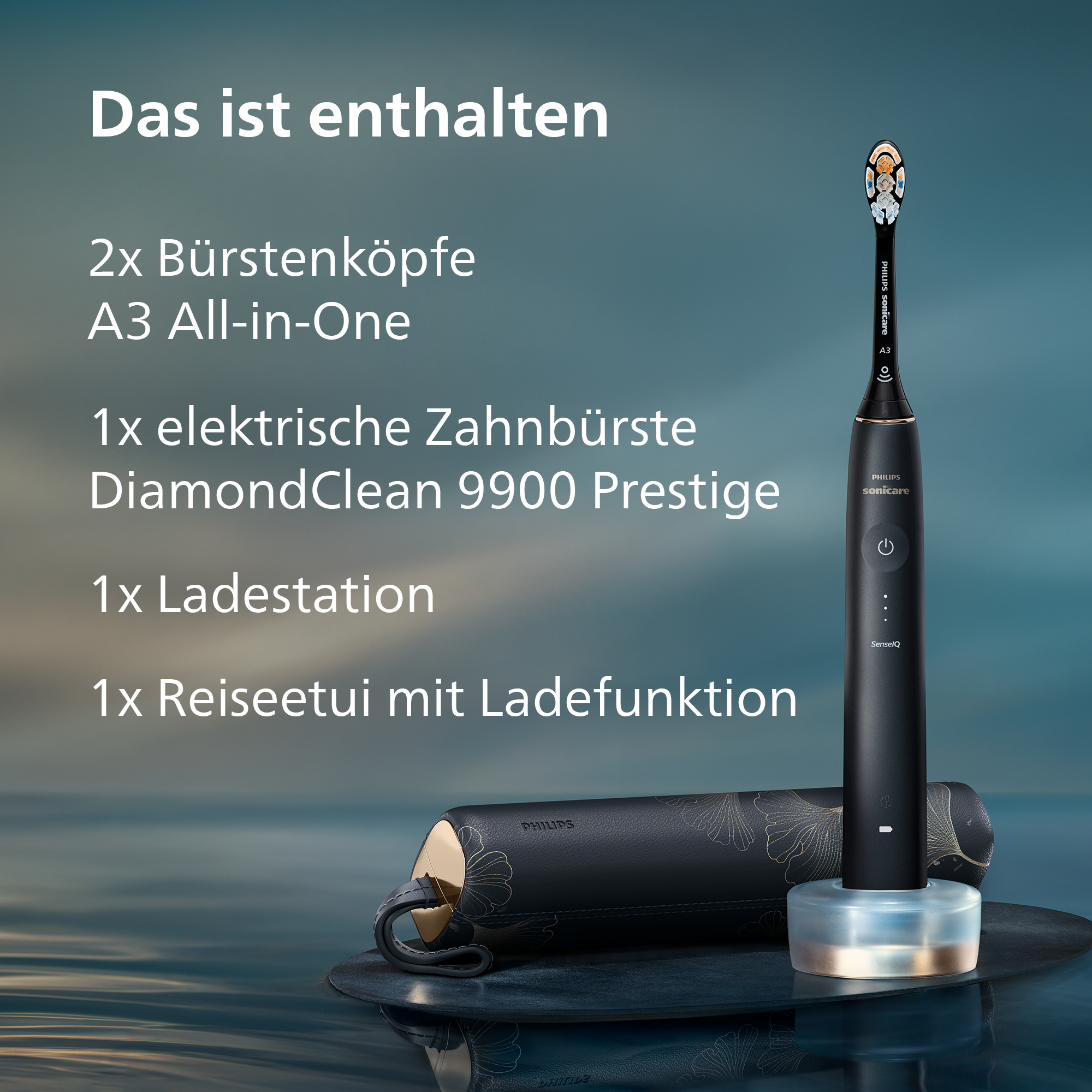 Schwarze elektrische Zahnbürste mit Ladegerät und Reiseetui. Text: Das ist enthalten, mit Produktdetails.