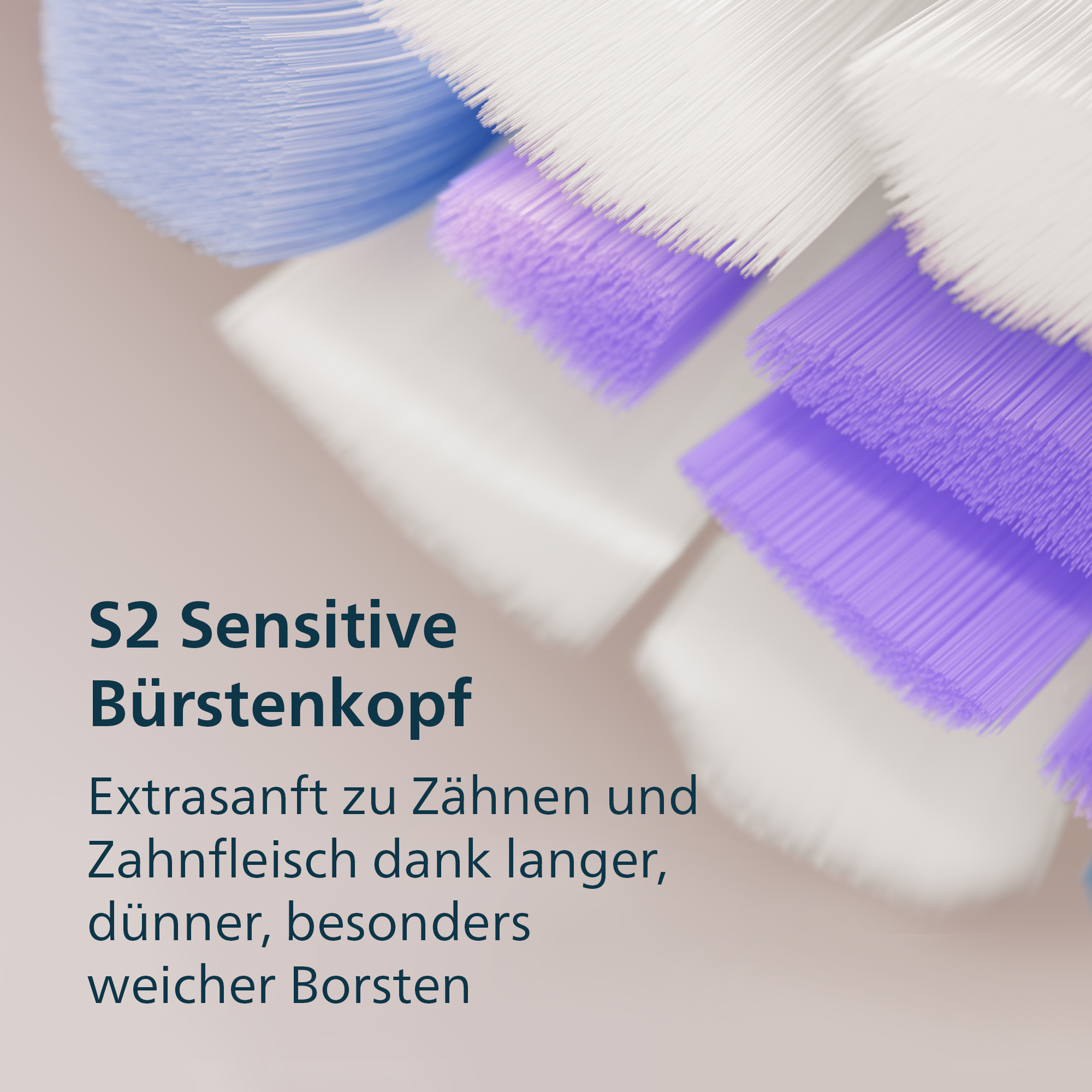 Gros plan sur les poils de brosse à dents, blancs, bleus et violets. Texte : S2 Sensitive Bürstenkopf. Extra doux pour les dents et les gencives.