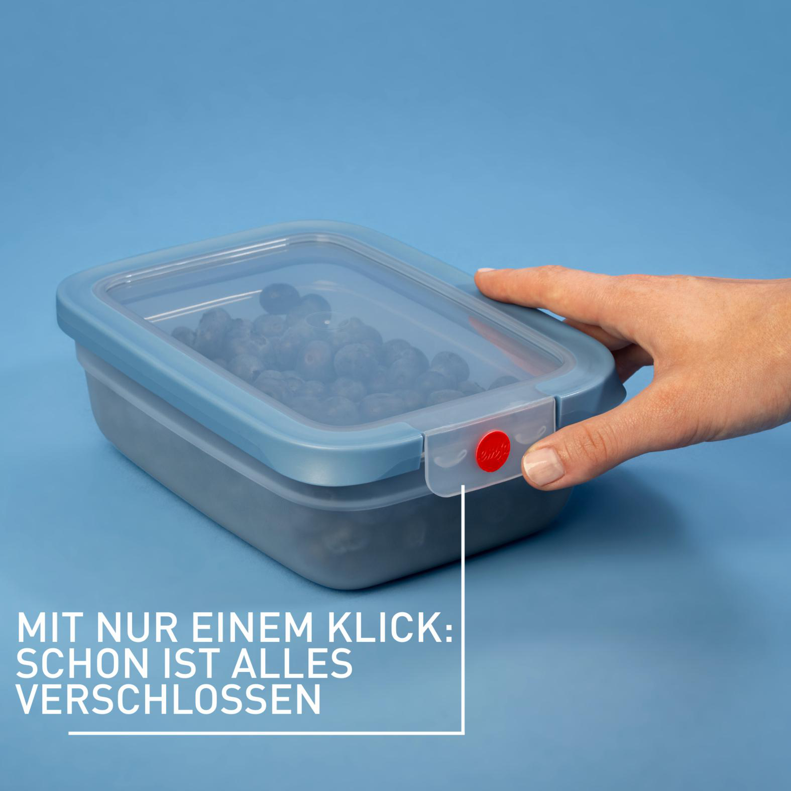 Eine Hand schließt einen blauen Behälter mit Blaubeeren. Der Behälter hat einen transparenten Deckel und einen roten Verschluss.