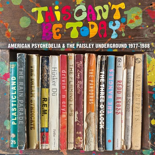 Bücherregal mit verschiedenen Buchtiteln, darunter 'The Bangles' und 'Meat Puppets', mit farbenfrohen Spritzern auf Holzgrund.