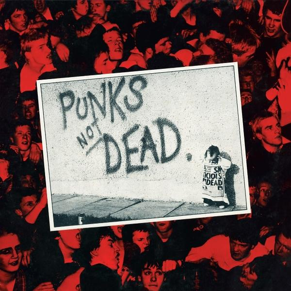 Das Bild zeigt eine Menschenmenge mit einem weißen gerahmten Bild in der Mitte. Das Bild besagt 'Punks Not Dead'. Eine Person steht.