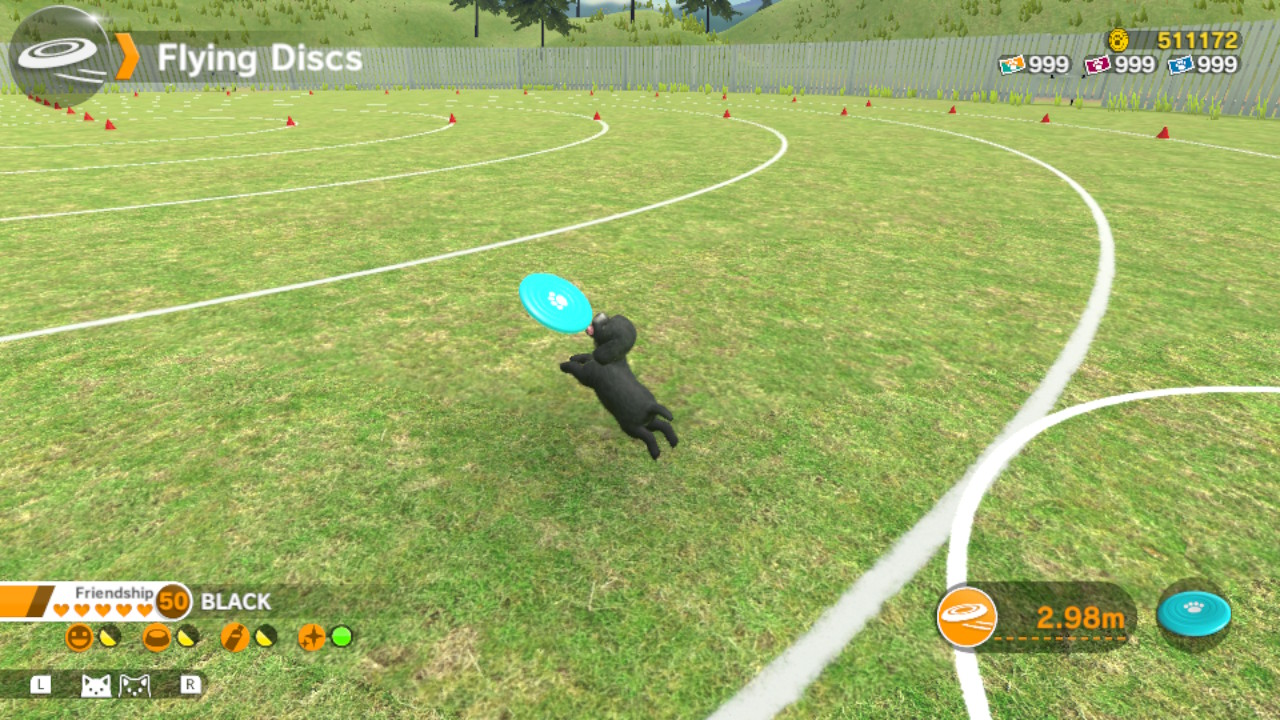 Un cane nero salta per prendere un frisbee blu su un campo verde. Il gioco è 'Flying Discs'.