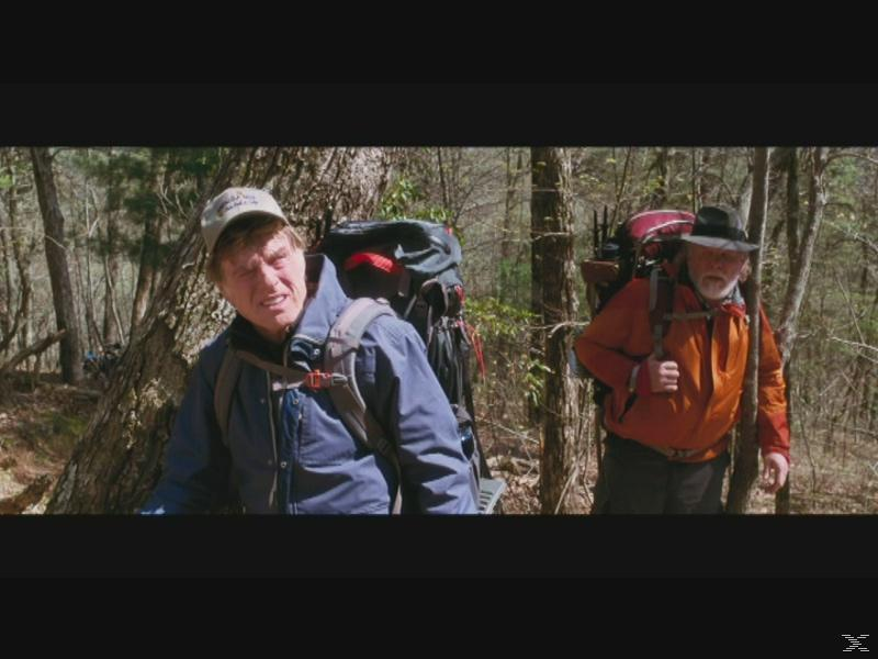 Zwei Männer wandern im Wald, beide mit Rucksäcken. Einer trägt eine blaue Jacke und Kappe, der andere eine orangefarbene Jacke und Hut.