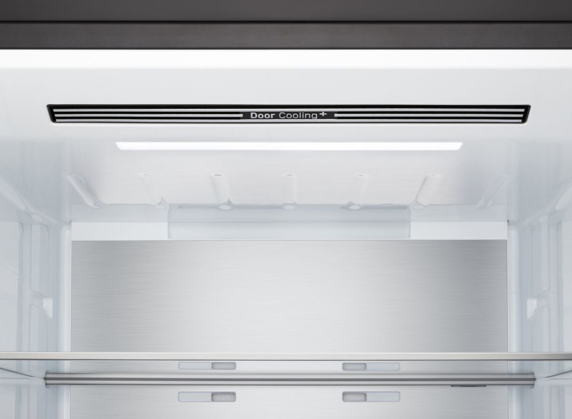 Wnętrze lodówki z Door Cooling+. Białe wnętrze, metalowy panel tylny, szklana półka na dole.