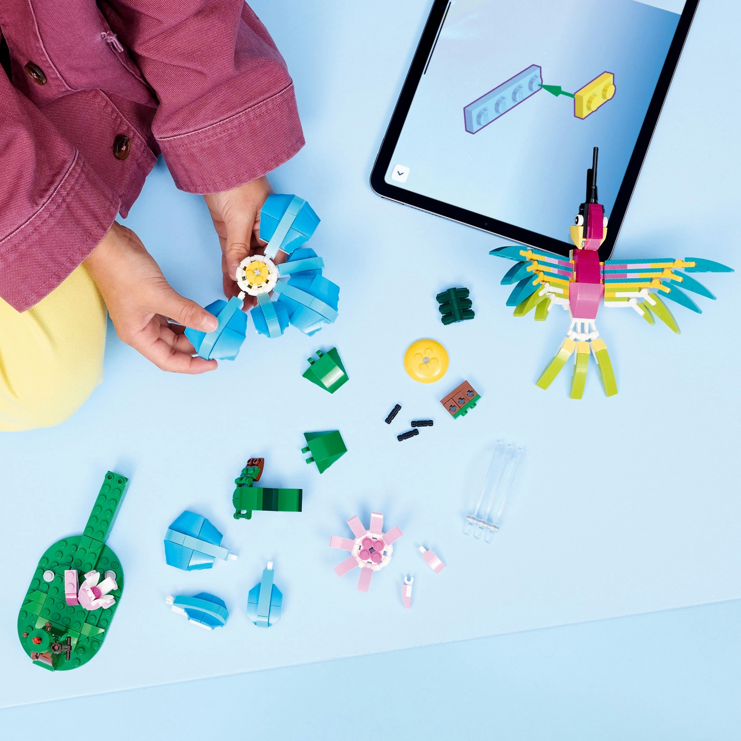 Un bambino sta costruendo un colorato uccello Lego. Vari pezzi Lego sono sparsi su una superficie blu, insieme a un tablet.