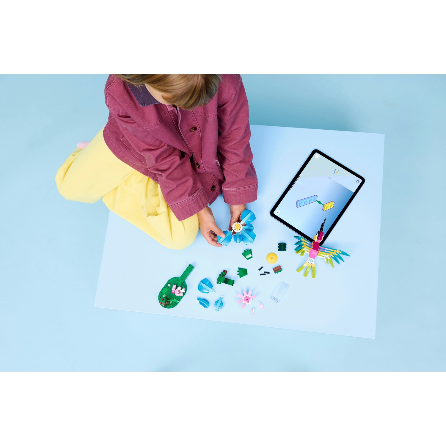 Un bambino costruisce un uccello giocattolo con dei blocchi. Un tablet mostra le istruzioni. I blocchi sono sparsi su una superficie blu.
