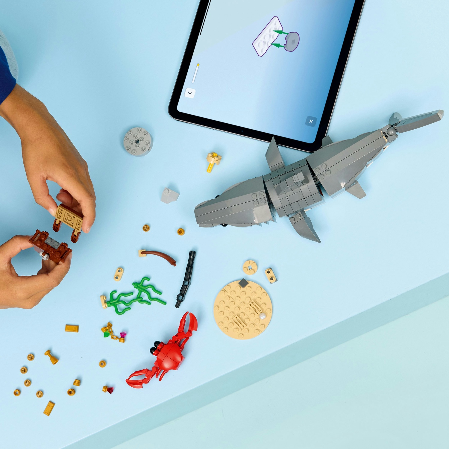 Una persona assembla un set Lego. Il set include uno squalo, un granchio e altri mattoncini a tema marino, con istruzioni su un tablet.