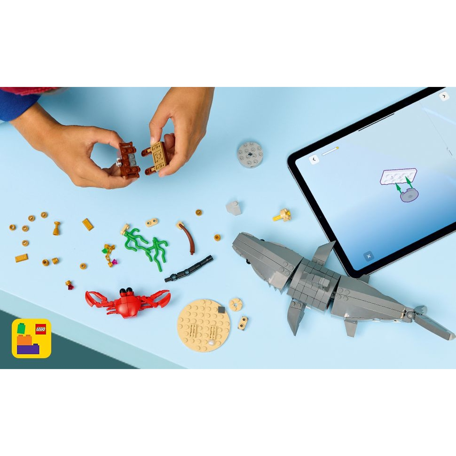 Una persona assembla un set Lego. Squalo, granchio, forziere e altri pezzi Lego su una superficie blu. Tablet con istruzioni.