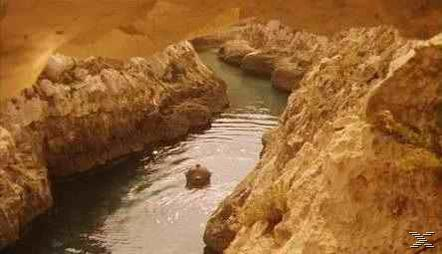 Eine Person schwimmt in einem Fluss zwischen Felsformationen. Das Wasser ist ruhig und die Felsen sind hellbraun.
