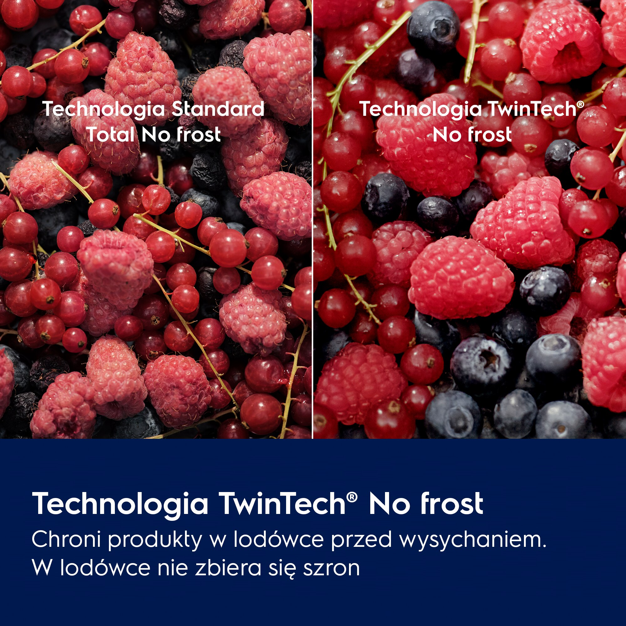 Obraz przedstawia maliny, czerwone porzeczki i borówki. Tekst brzmi: 'Technologia TwinTech® No frost'.