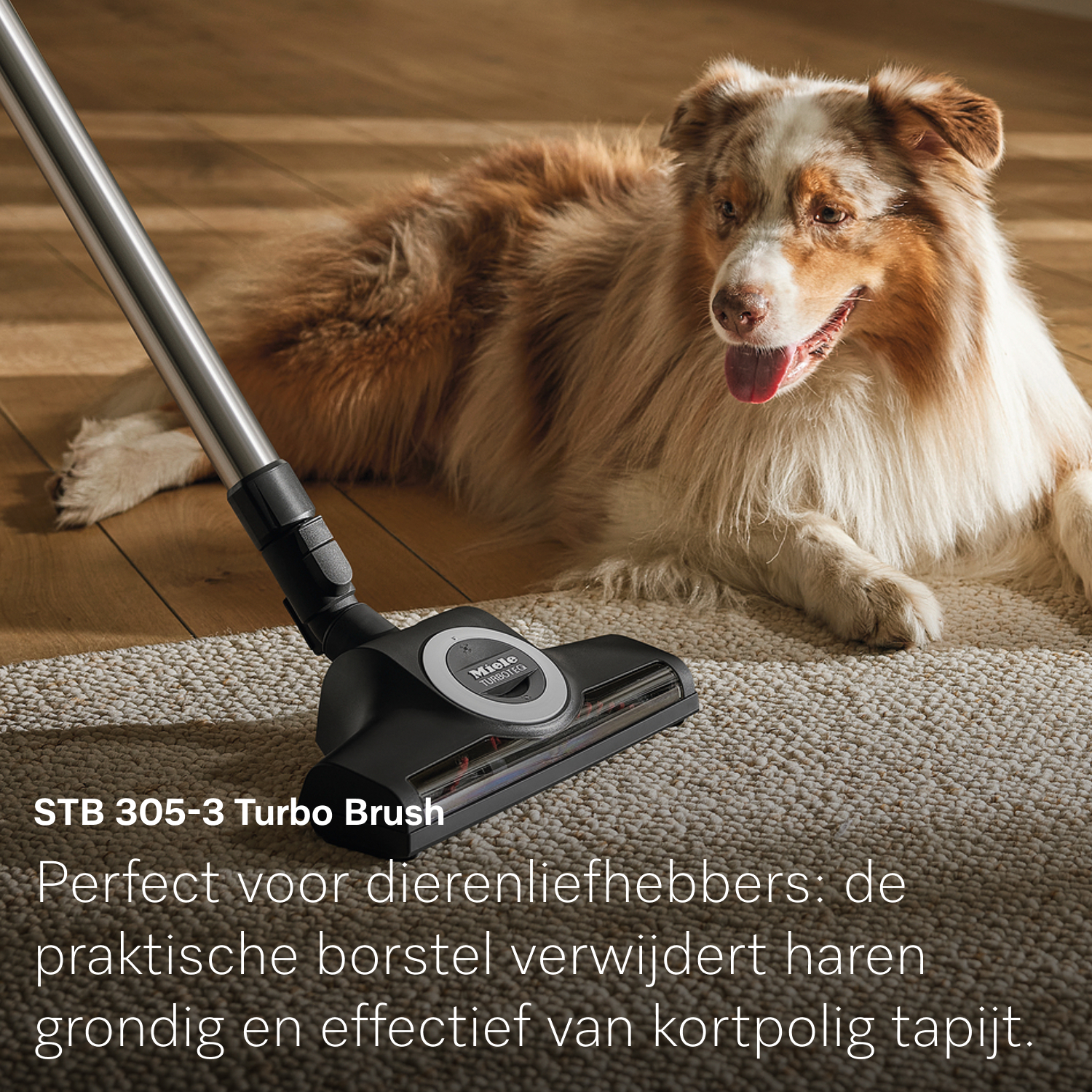 A dog lies on a rug near a vacuum cleaner. The vacuum brush is on the rug. Text says 'Turbo Brush' and 'Perfect for pet lovers'.