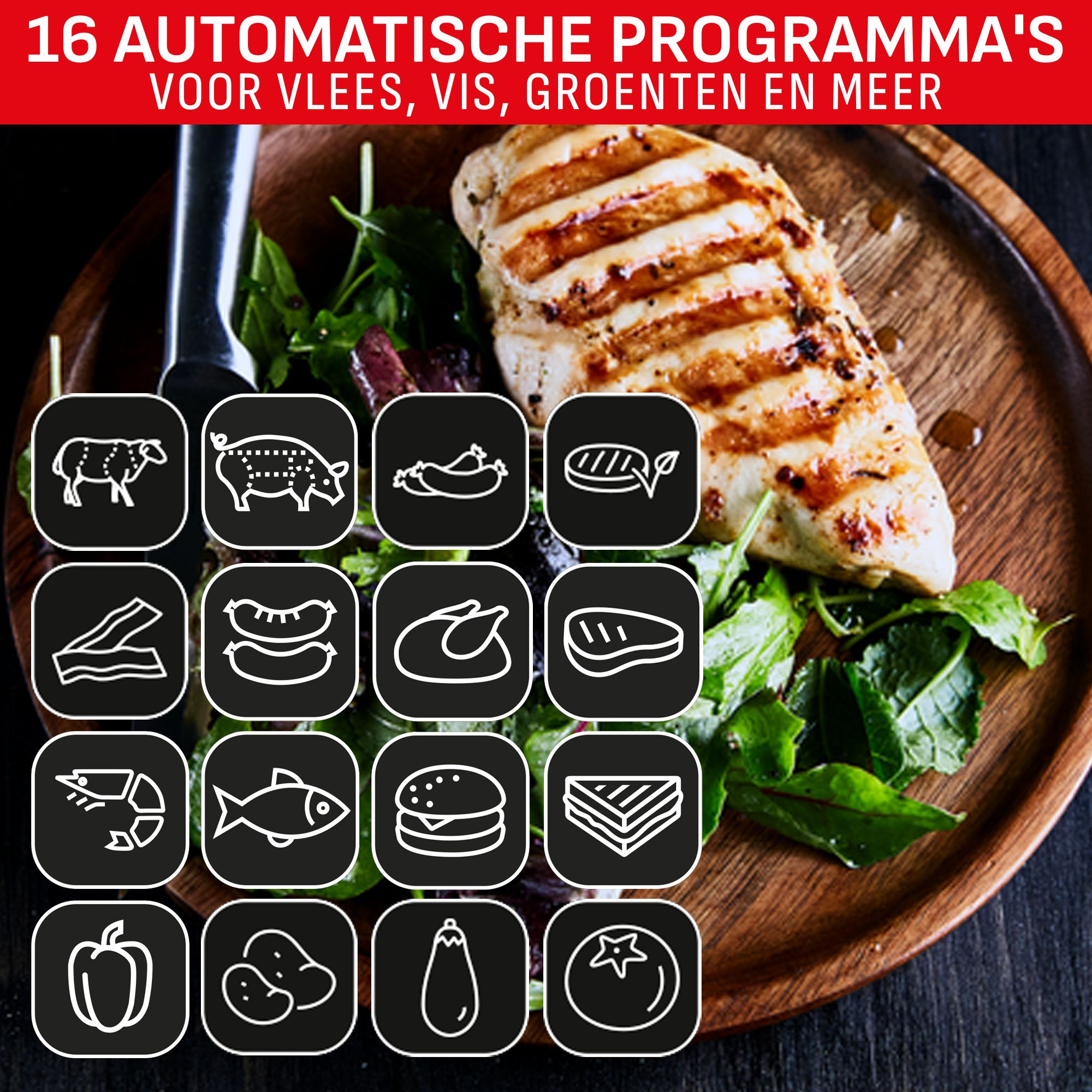 Grilled chicken with salad on a wooden plate. Icons for meat, fish, vegetables, and 16 automatic programs.