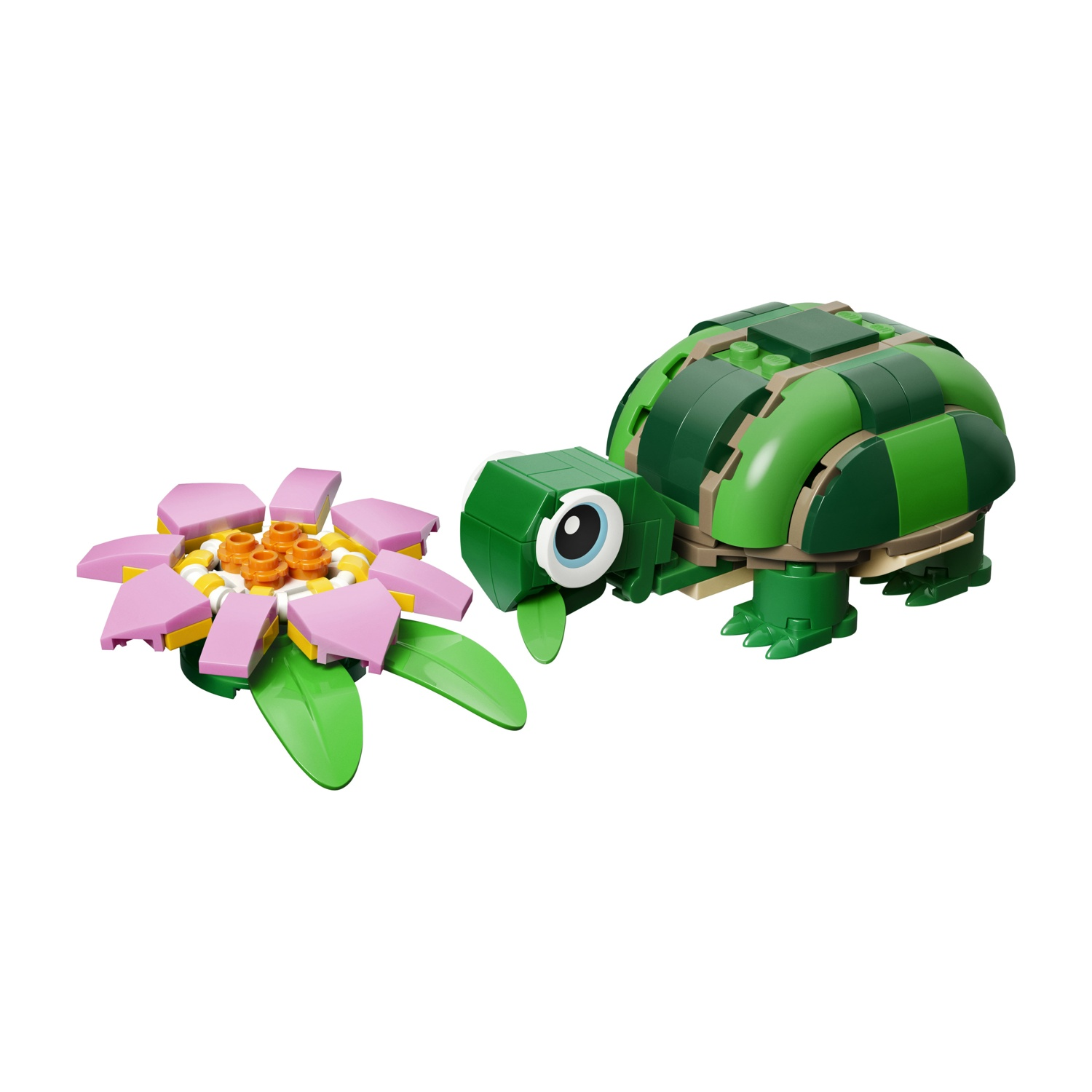 Una tartaruga e un fiore Lego. La tartaruga è verde, con un guscio verde scuro. Il fiore ha petali rosa, centro giallo e arancione.