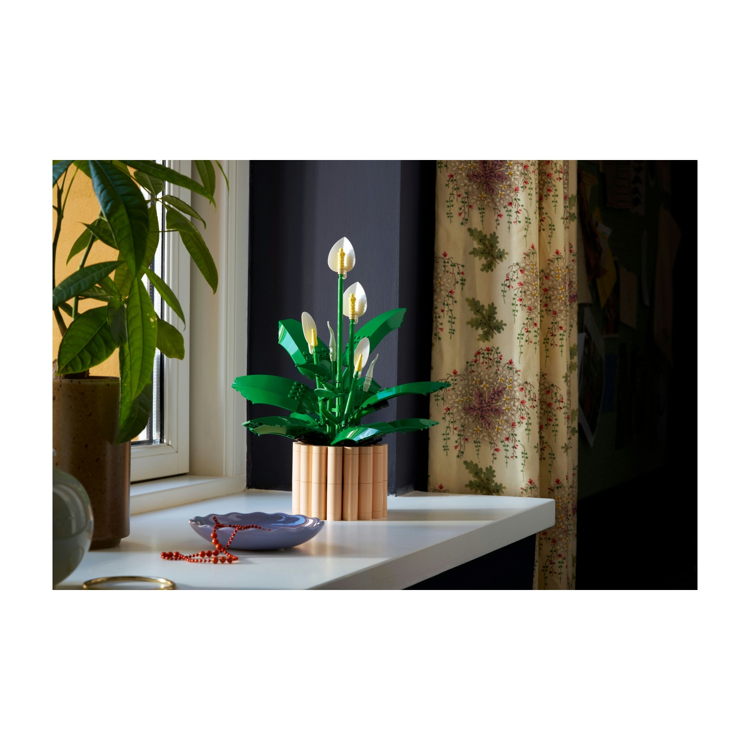 Una Spathiphyllum Lego in un vaso di legno è su un davanzale vicino a una pianta. Una ciotola blu e perline rosse sono di fronte.