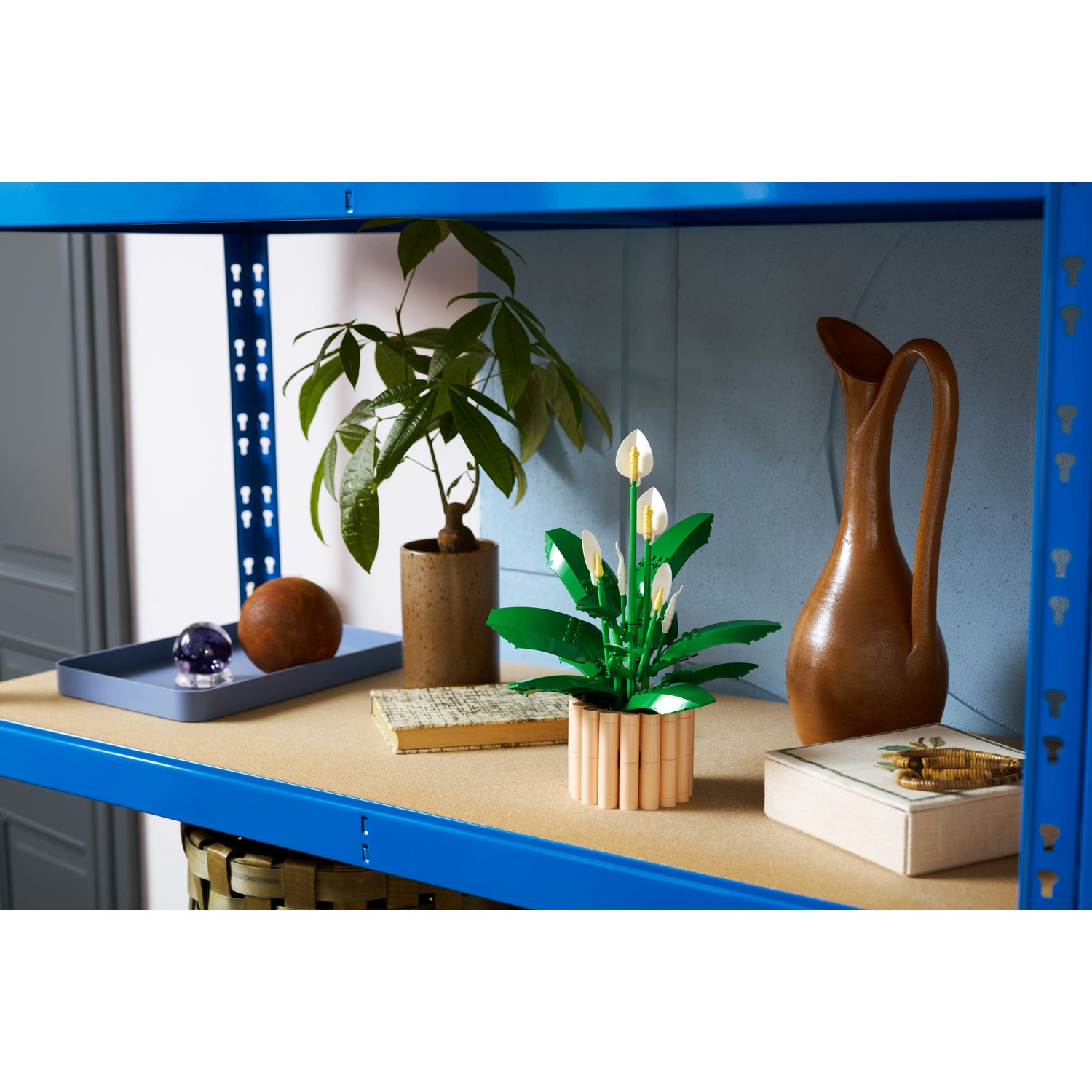 Scaffale con piante, un vaso, un vassoio con sfere, un libro e una scatola. Scaffalatura blu, ripiano beige e parete azzurra.